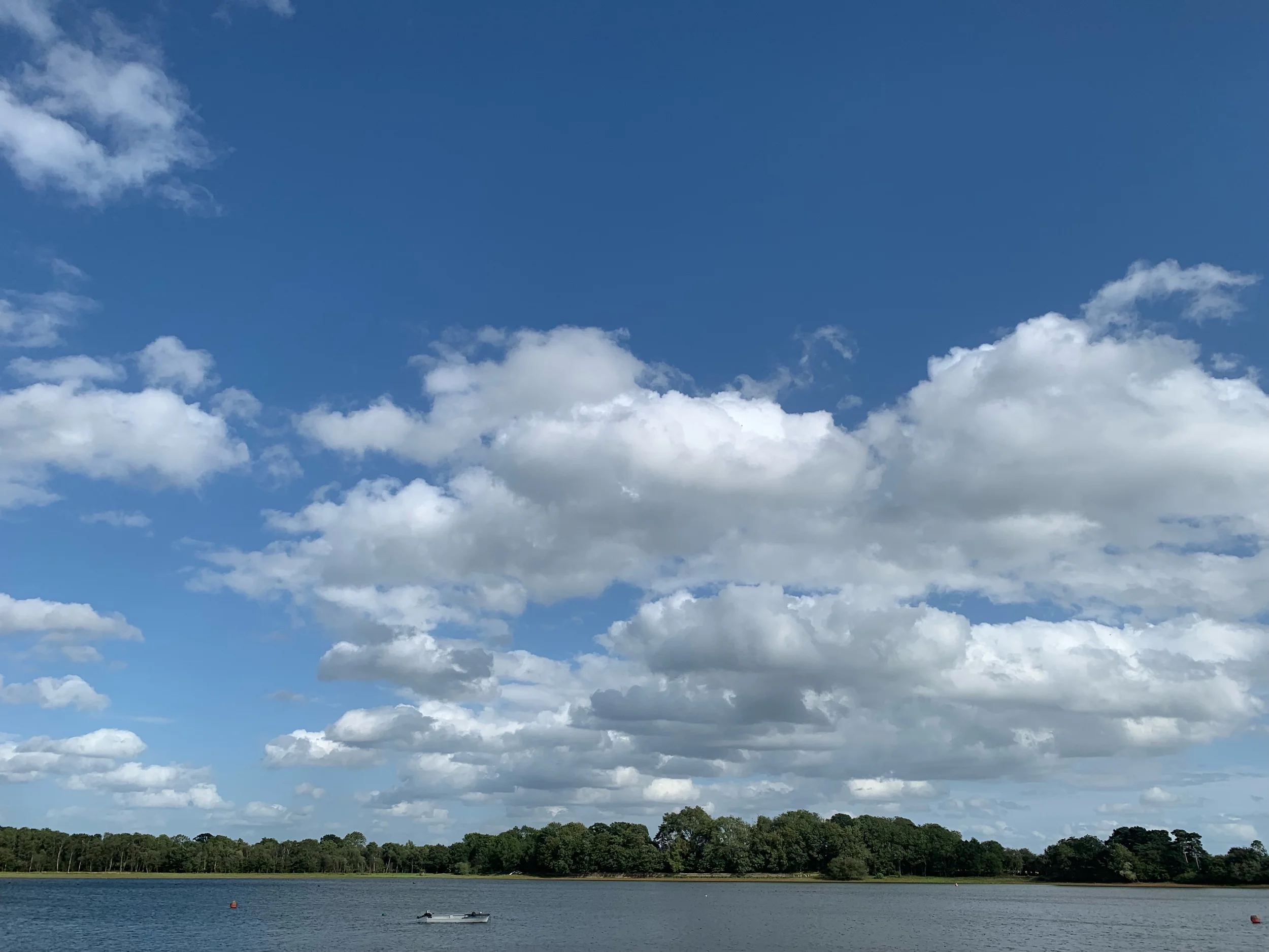 IMG_0749.jpeg