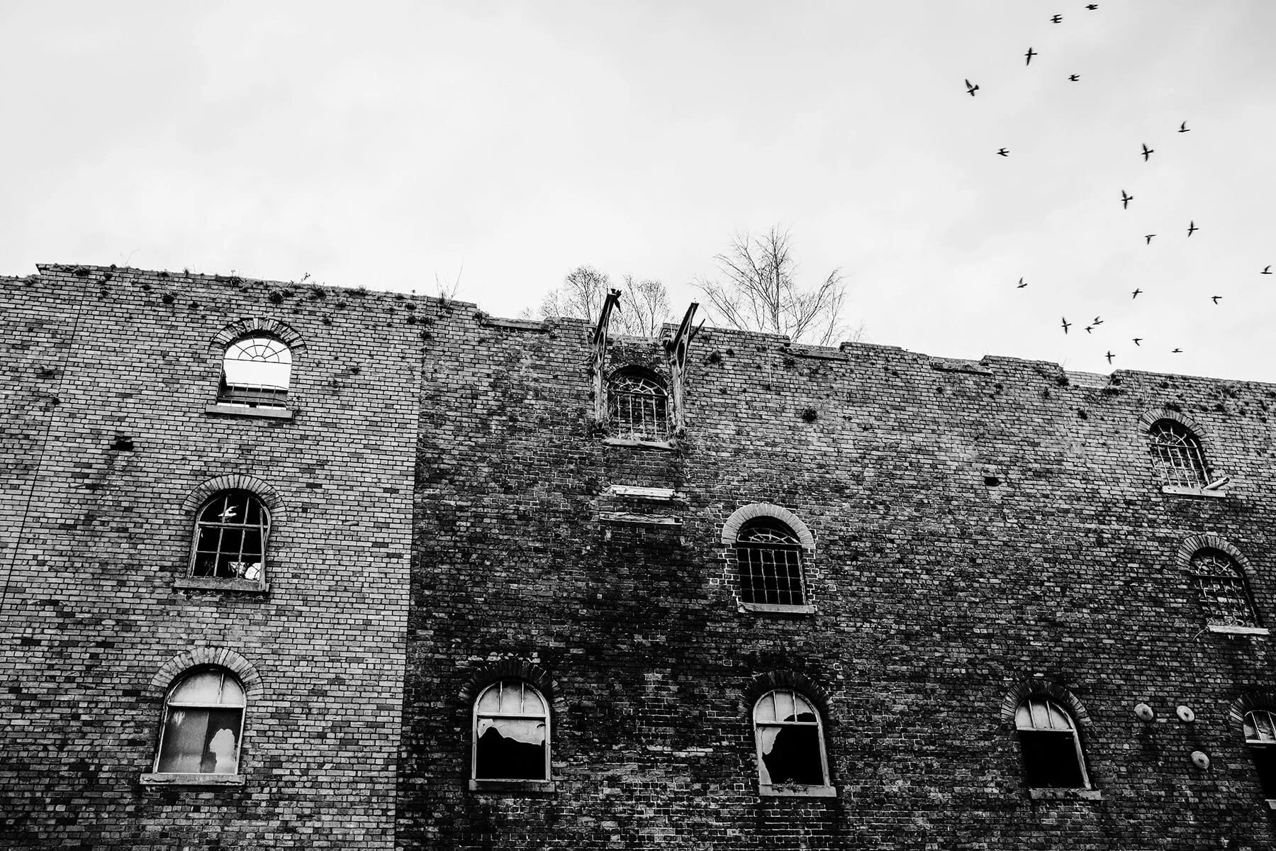 MIDDLEPORT POTTERY BEST UK DOCUMENTARY WEDDING PHOTOGRAPHERS 00152.jpg