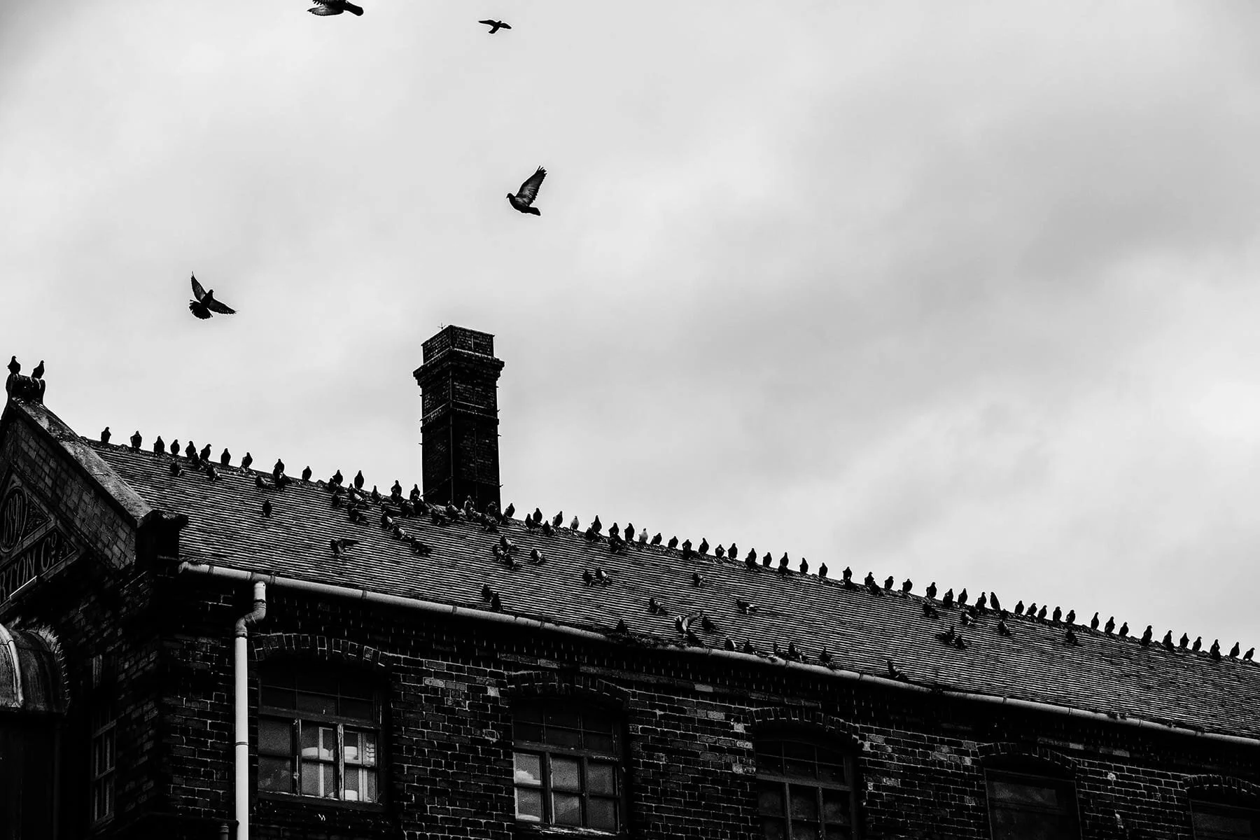 MIDDLEPORT POTTERY BEST UK DOCUMENTARY WEDDING PHOTOGRAPHERS 00154.jpg