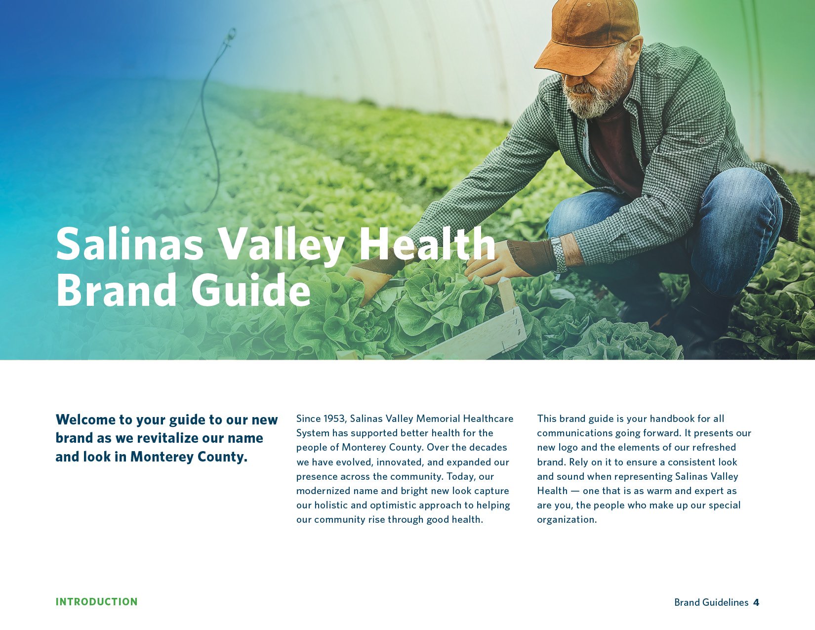 SVH_Brand Guidelines_V104.jpg