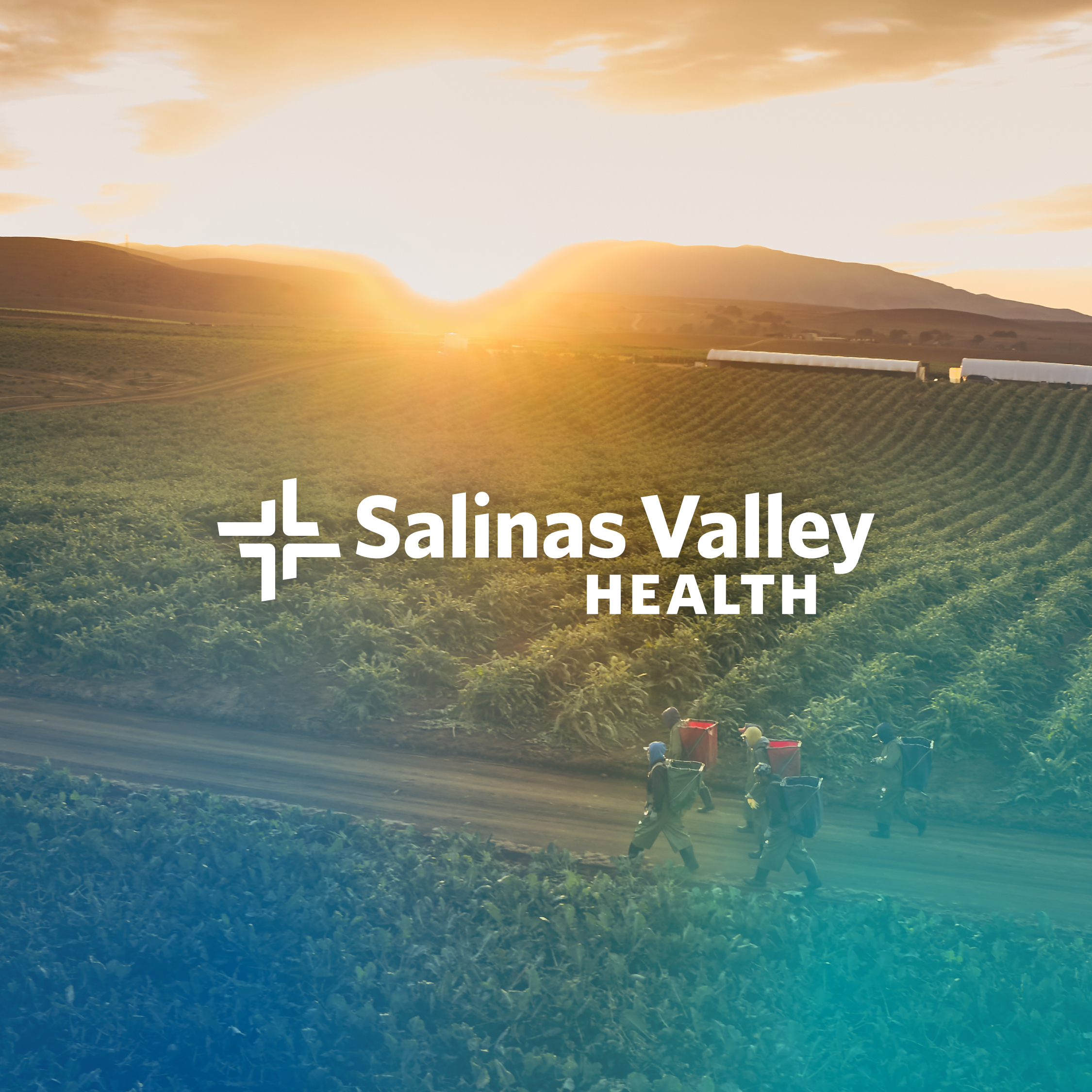 Rebrand & Integrated Campaign | Salinas Valley Health