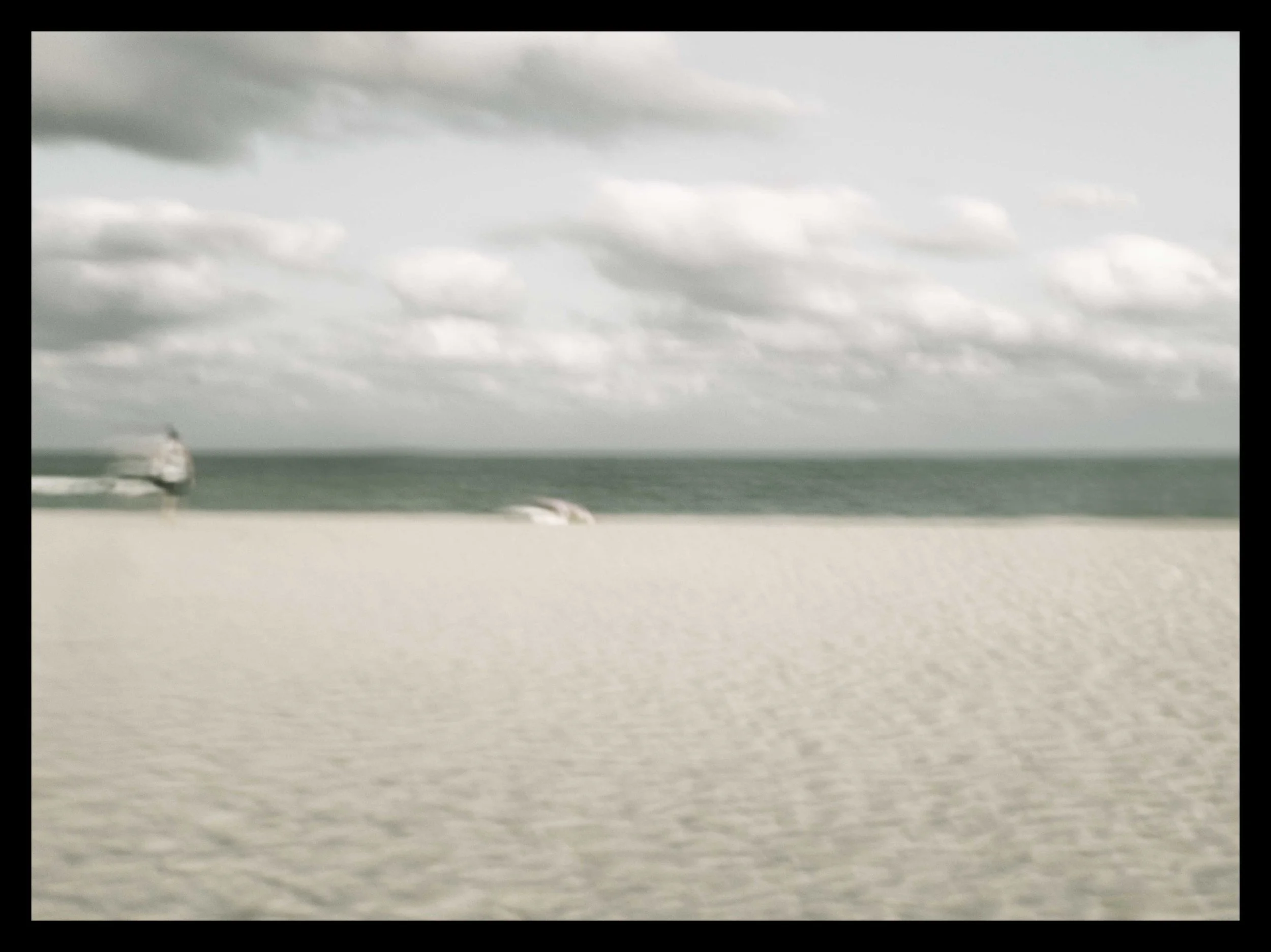 The heart asks pleasure first