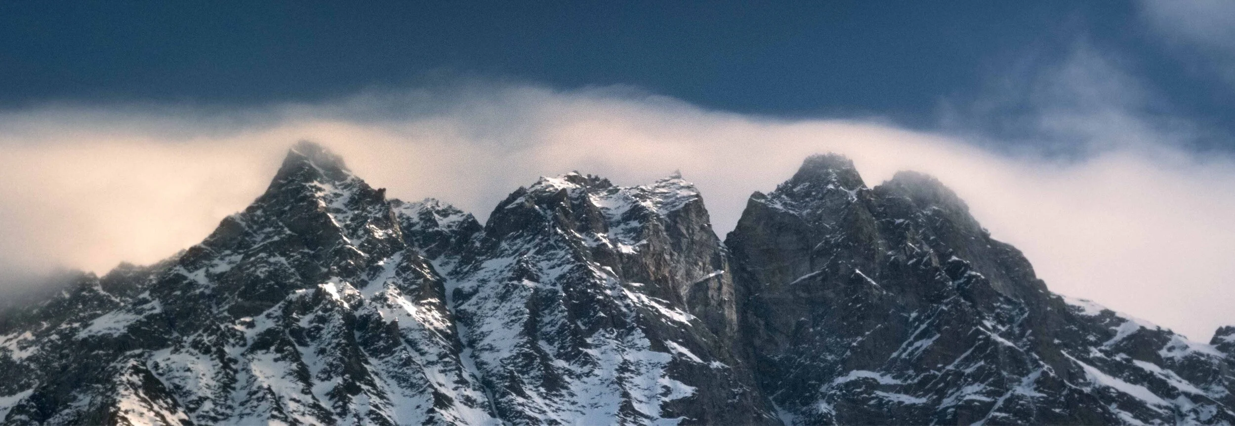 Society, you're a crazy breed