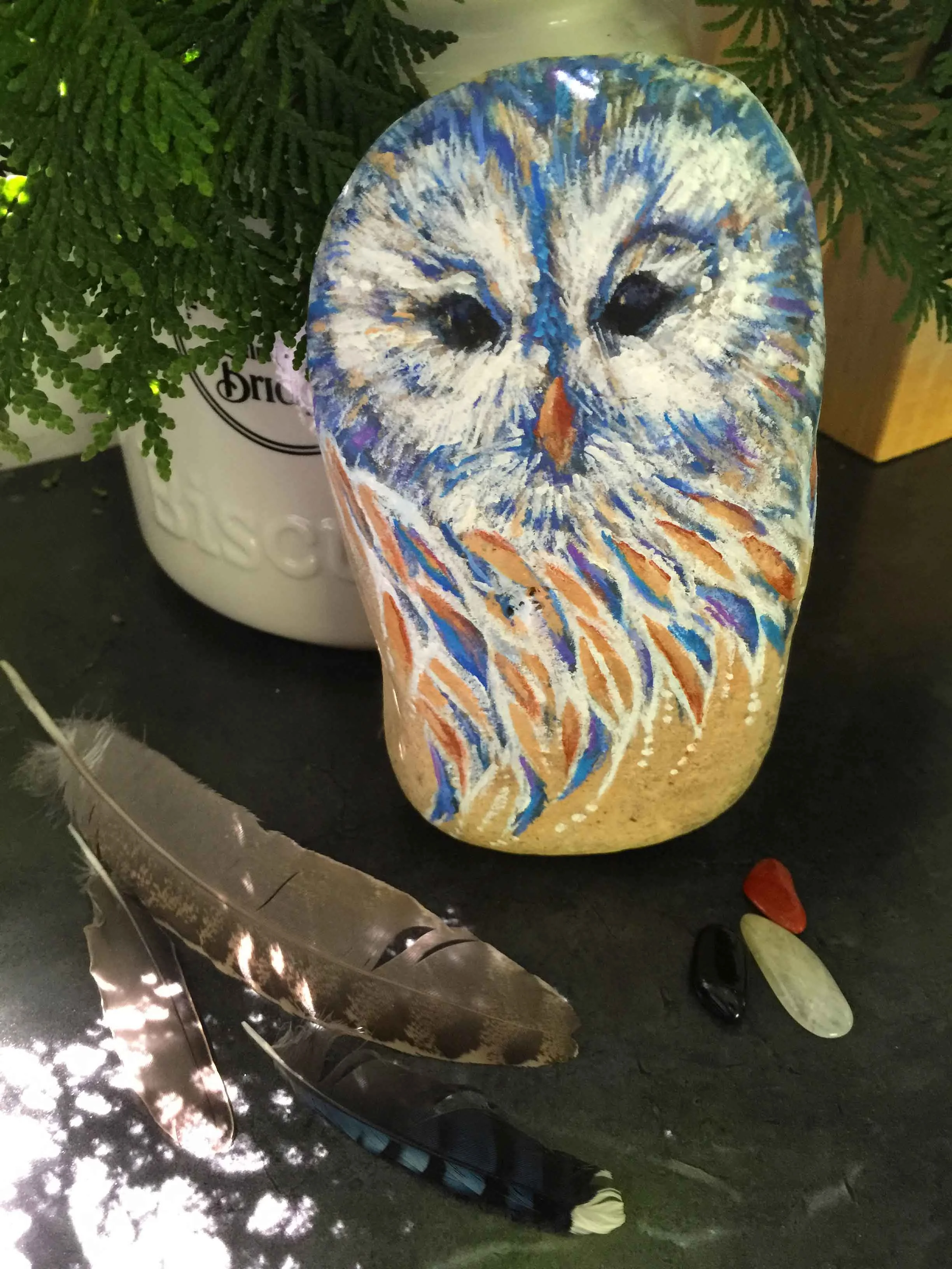 Wisdom Owl