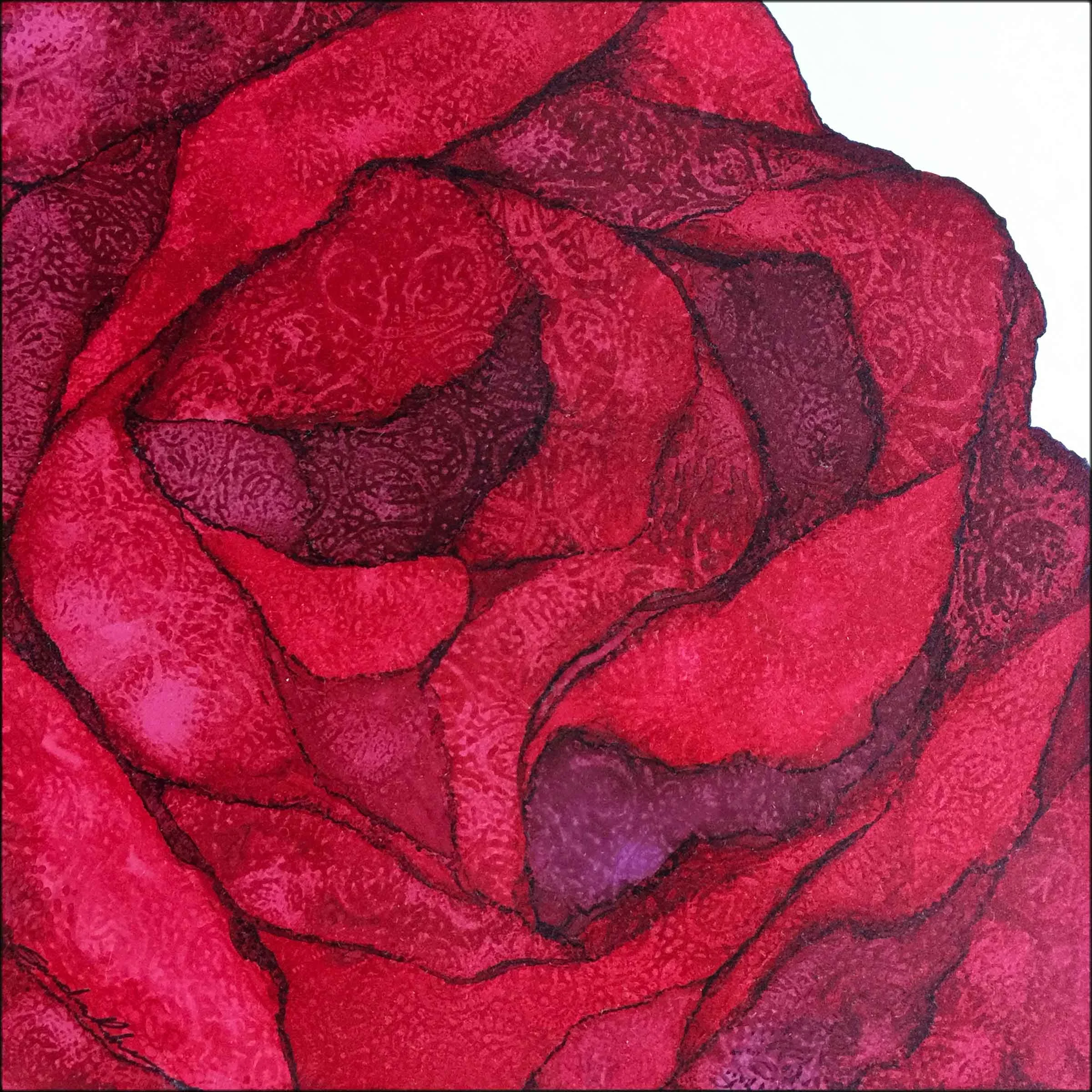 Essence Of Rose