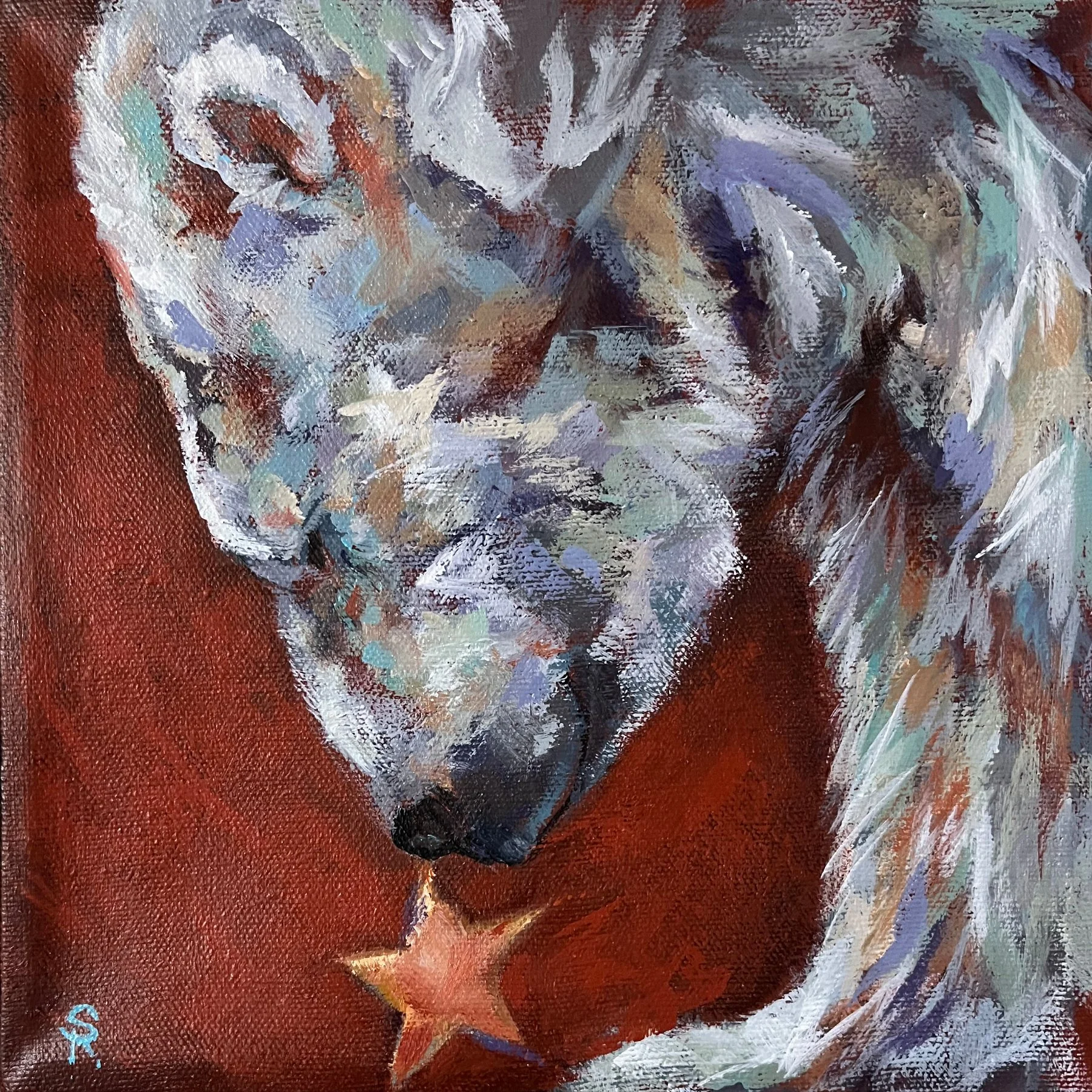 Finding Star