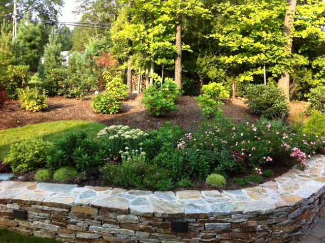 Planting above stacked stone wall.JPG