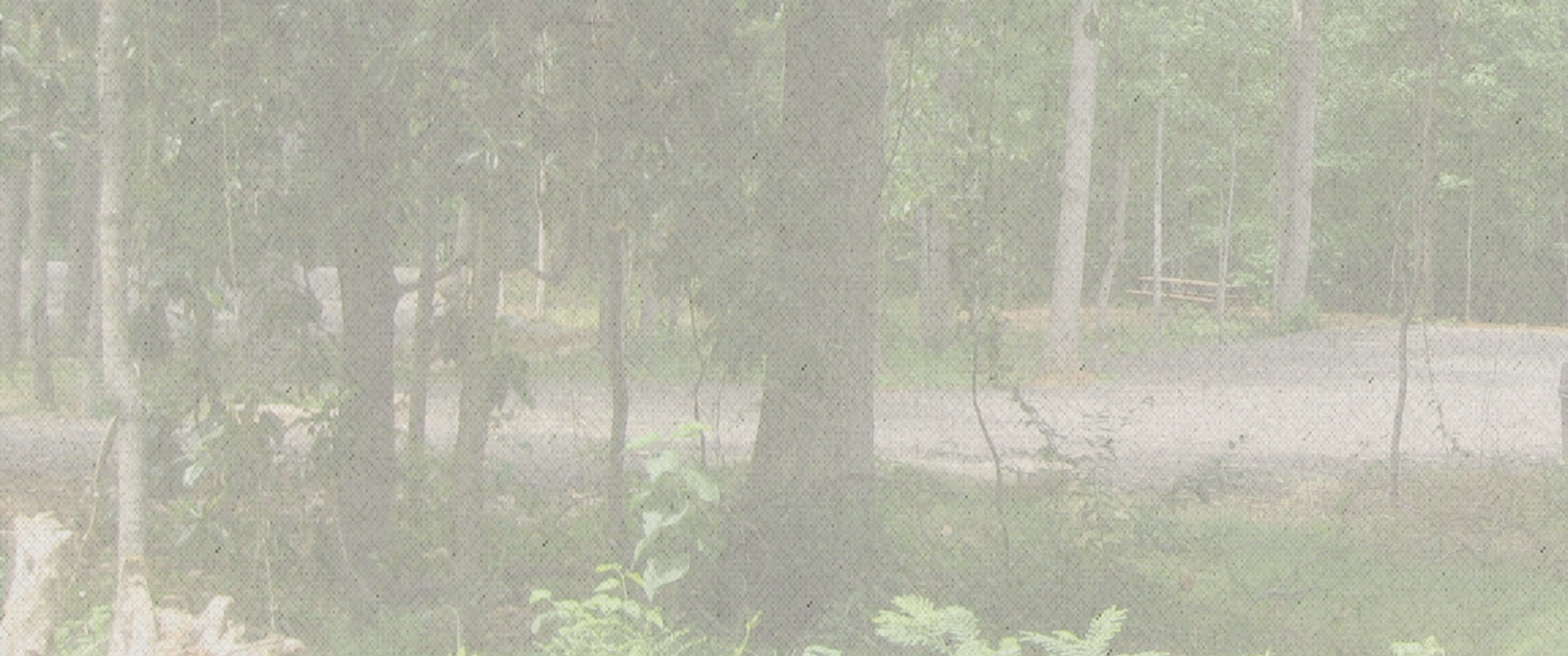 zooparking.png