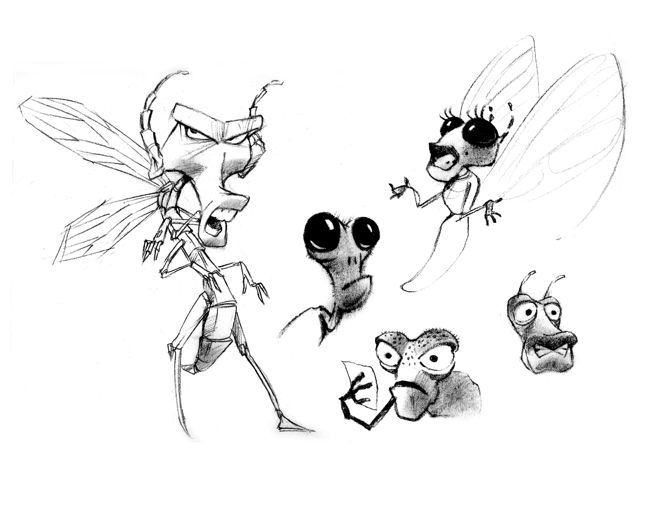 Insect Design, Untitled Project - The Jim Henson Company