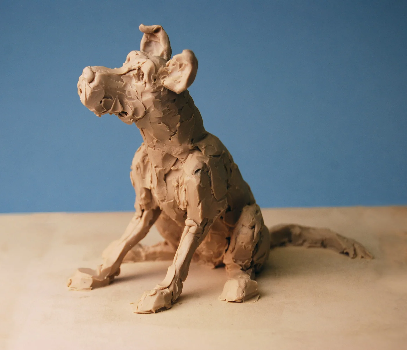 Hound Study 2