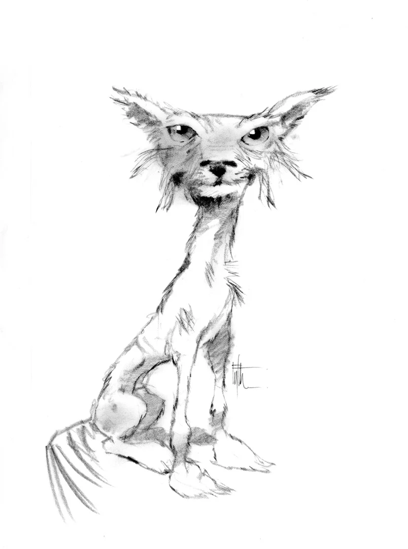 Genetically Modified Dog Character Concept, Proposed TV Project - The Jim Henson Company