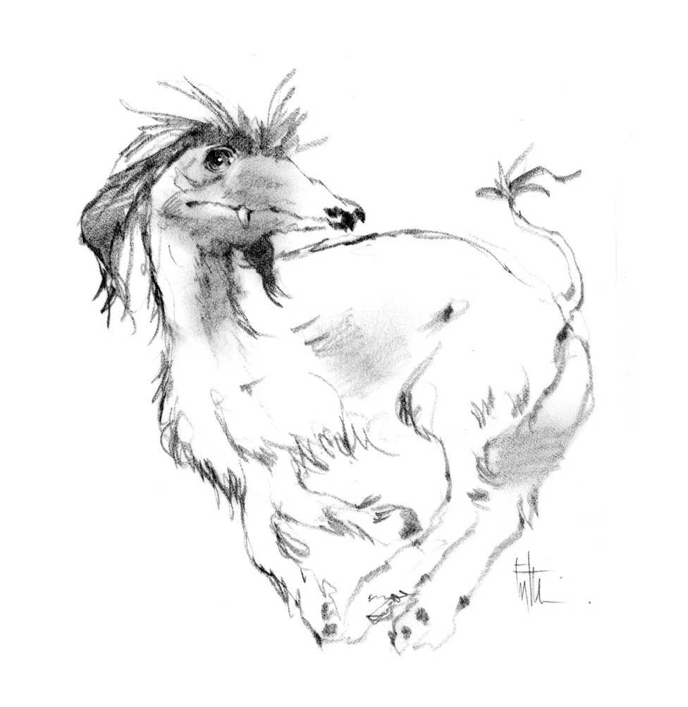 Genetically Modified Dog Character Concept, Proposed TV Project - The Jim Henson Company