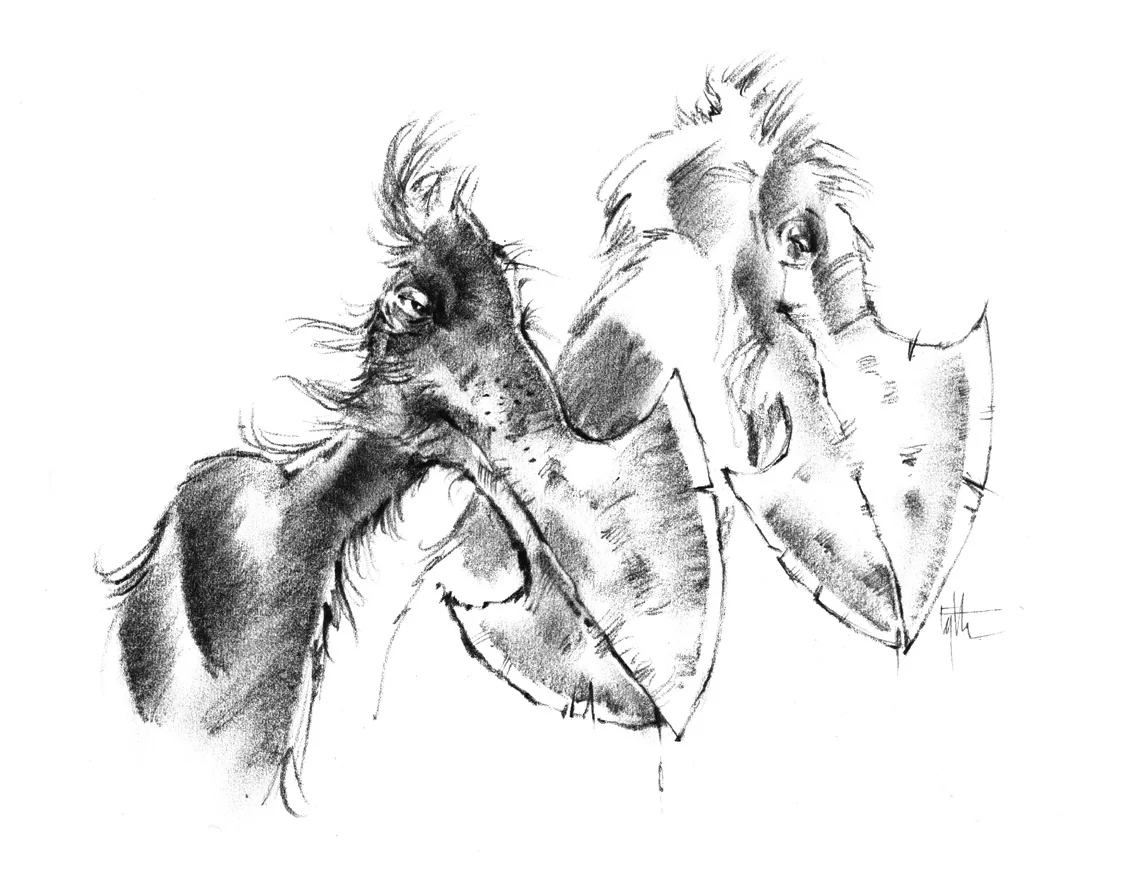 Axe Beak Bird Creatures, Proposed TV Project, The Jim Henson Company