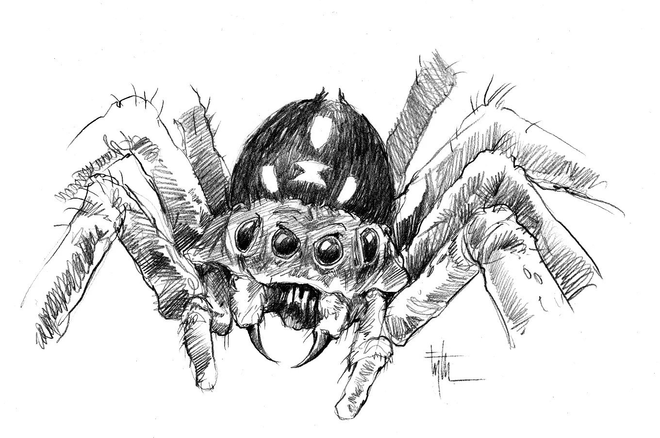 Spider Concept, ARACHNOPHOBIA, - Hollywood Pictures