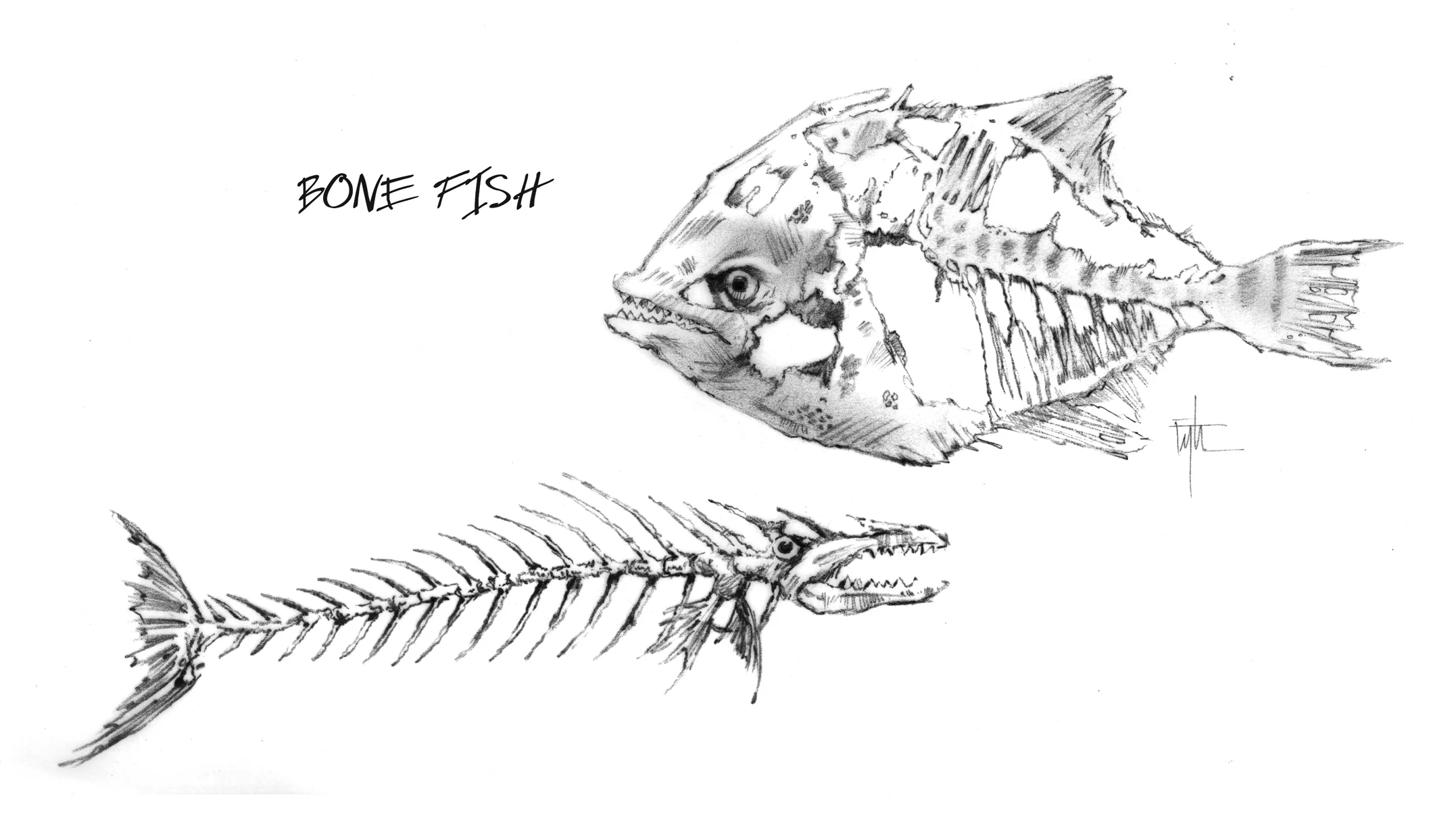 Skeletal Fish Creatures, Proposed TV Project, The Jim Henson Company