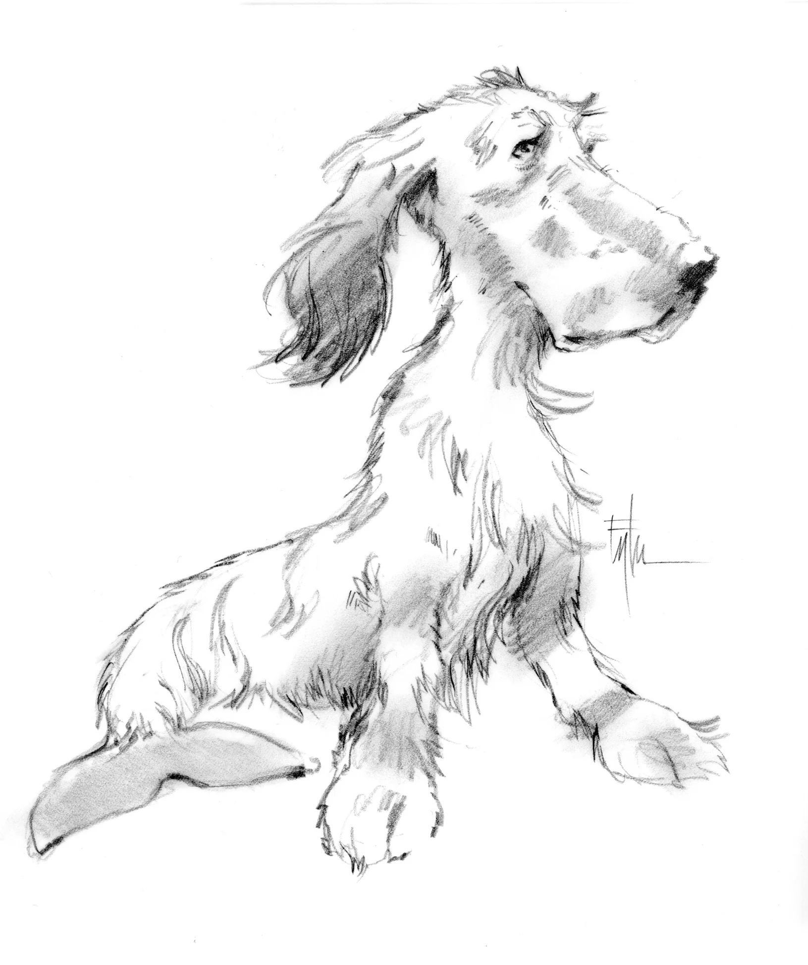 Mutant Dog, Proposed TV Project, The Jim Henson Company
