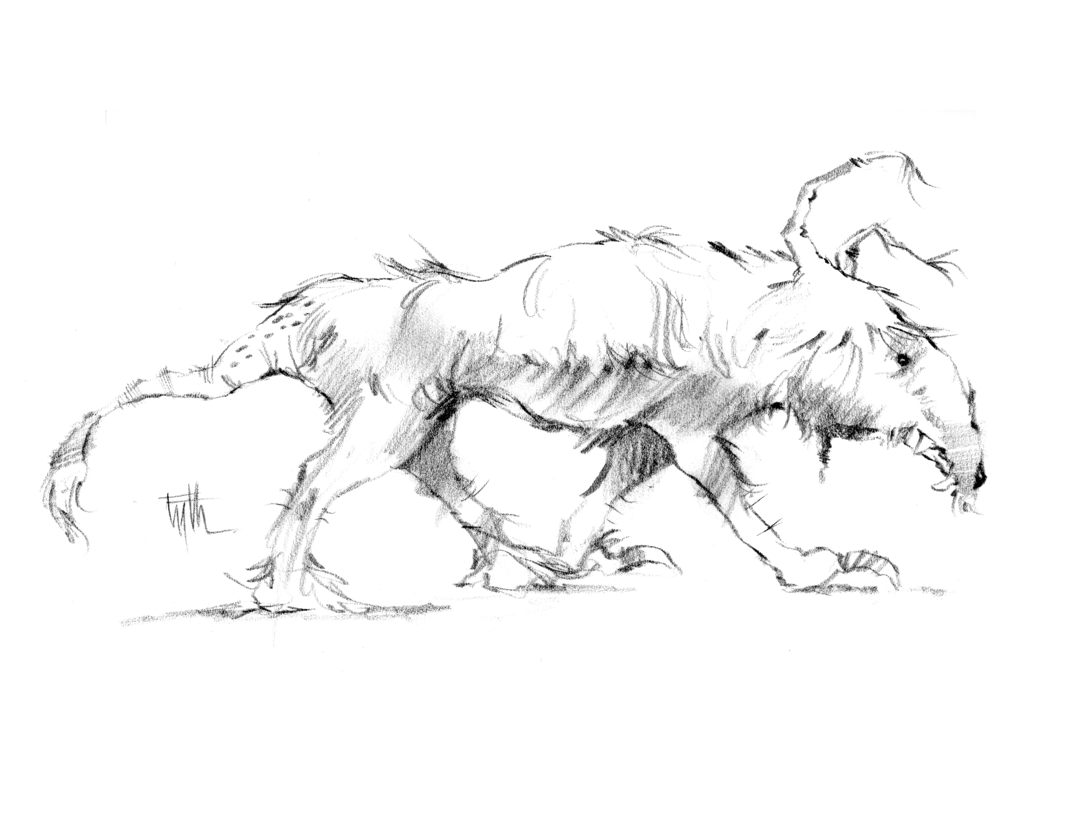 Mutant Dog, Proposed TV Project, The Jim Henson Company