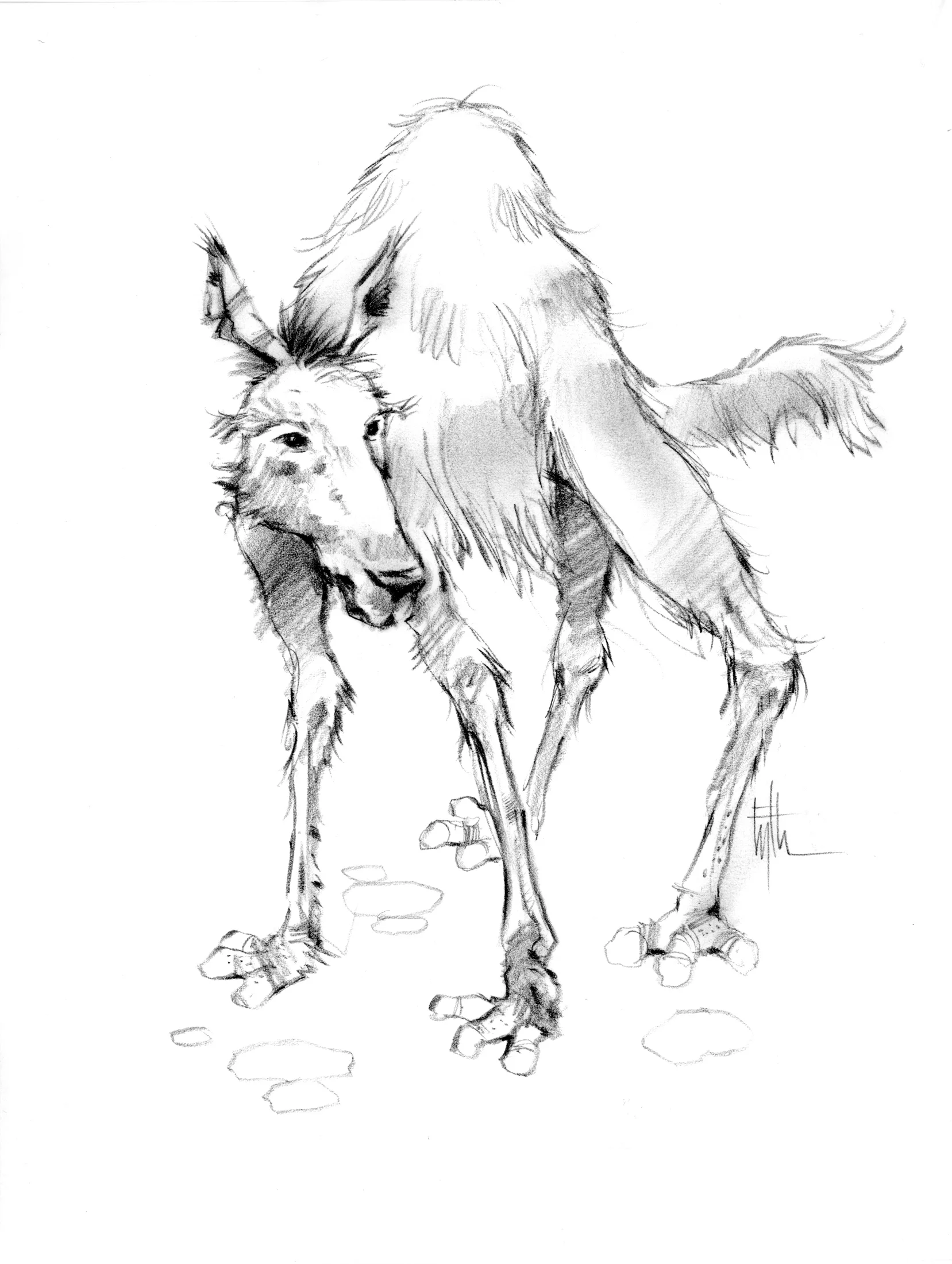 Mutant Dog, Proposed TV Project, The Jim Henson Company