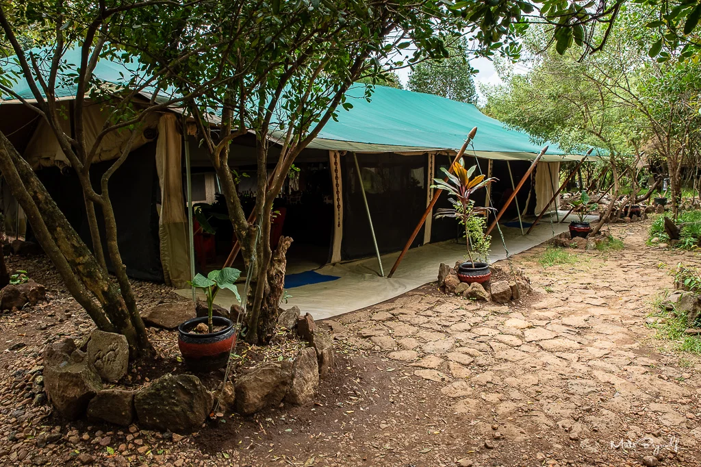 We stayed at the Mara Eden Safari Camp. A simple but nice camp with great staff. The camp is situated perfectly. Just at the Mara River, which makes travel time very short where the action is.