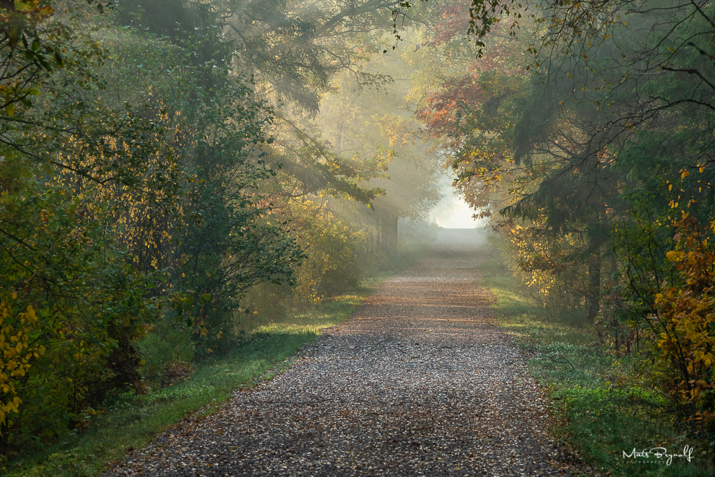 20181013_9465_NIKON D500-HDR-Edit-Edit.jpg