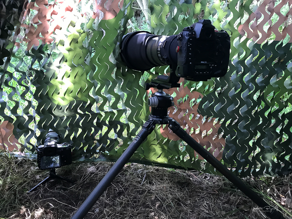 The setup in the hide