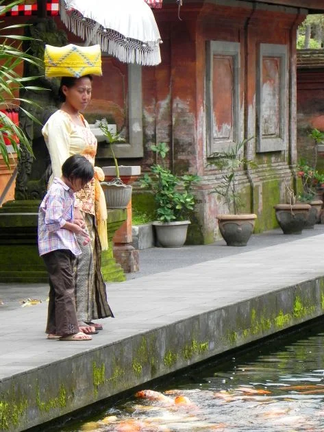 Fish feeding.jpg
