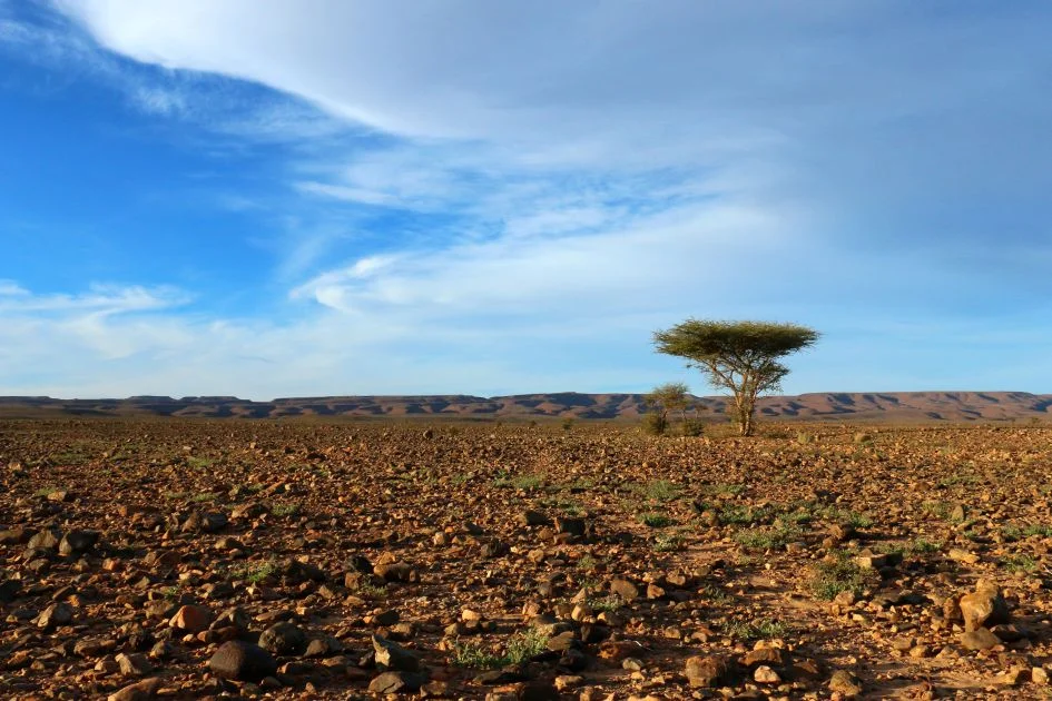 Africa.jpg