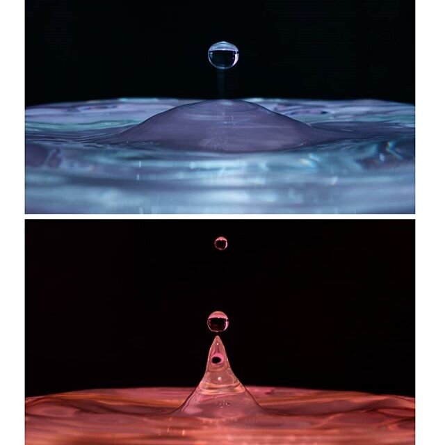 Slowly adding a macro section to my website... www.pippajonesphotography.com #lockdownphotography #macro #photography #water #waterdrops #lighting