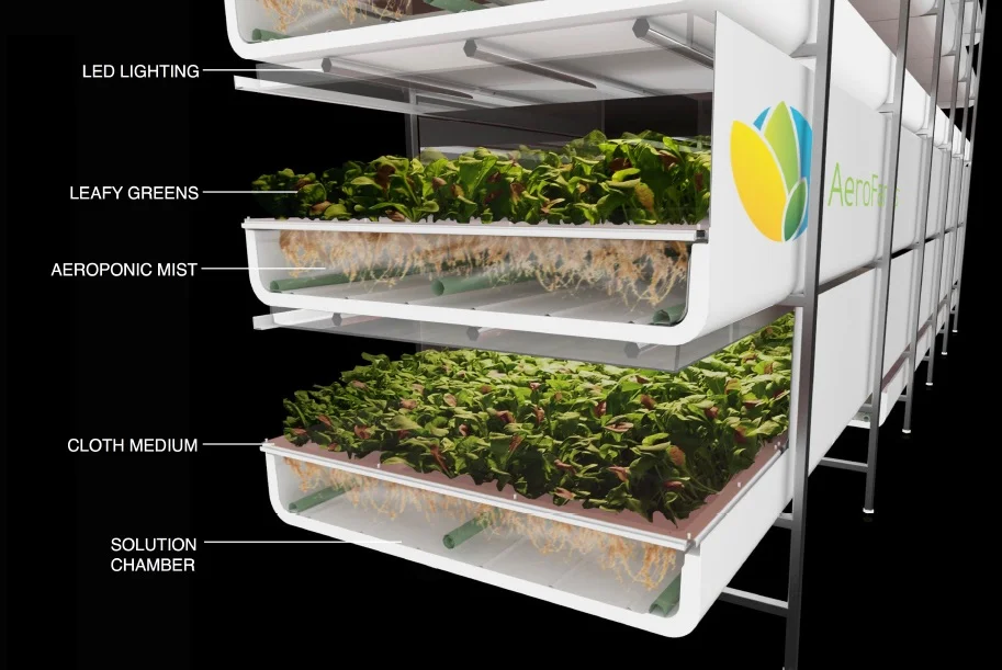 The trays in an Aerofarm indoor growing farm