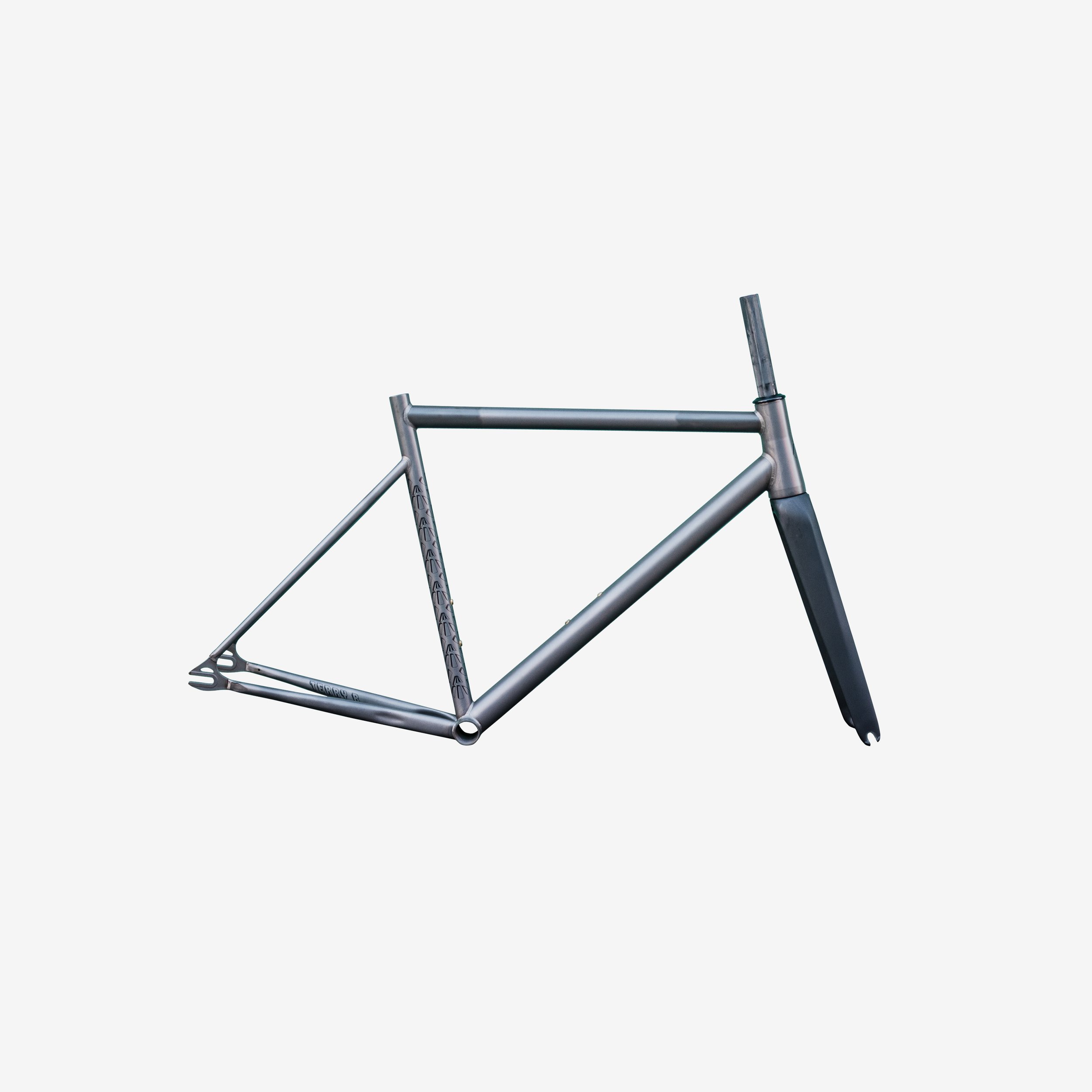 Affinity X Terry B Single Speed/Track frame set