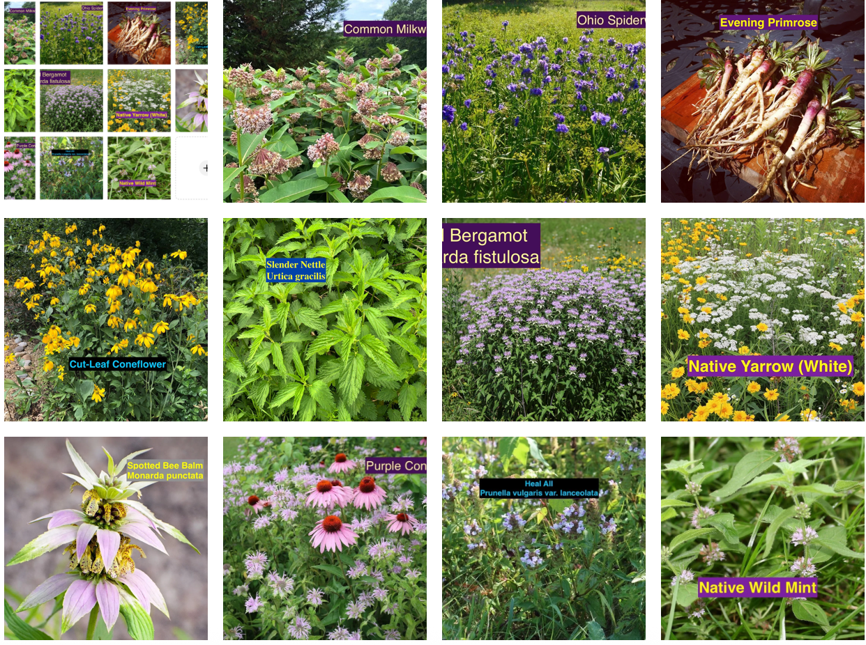 Screenshot 2026-09-03 at 11.47.58 AM.png