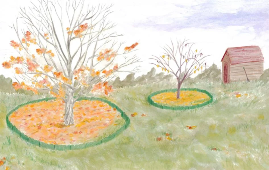 Imagine a world in which at least the drip zone of Tree Root Zones were managed for health/longevity and vigor.