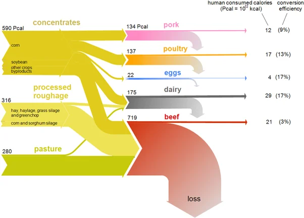 The fat, non-yellow lines on the right half of the graph represent the loss, the skinny lines of different colors represent what we harvest for food. The source of this graph is this study linked here