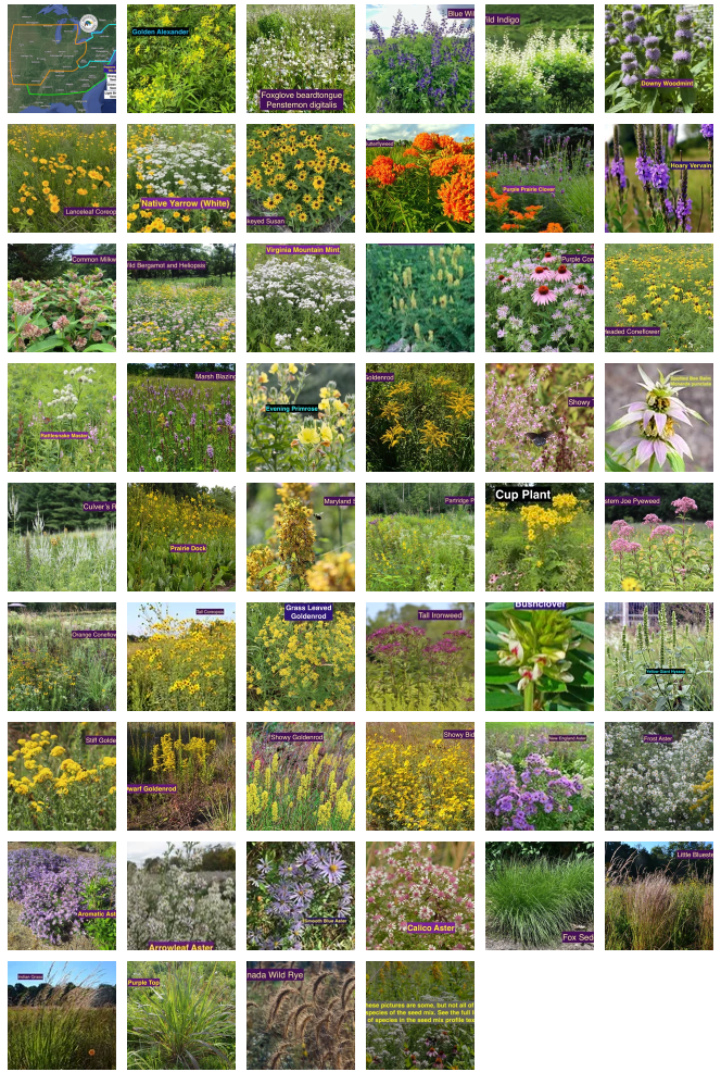 Screenshot 2026-09-03 at 11.53.44 AM.png