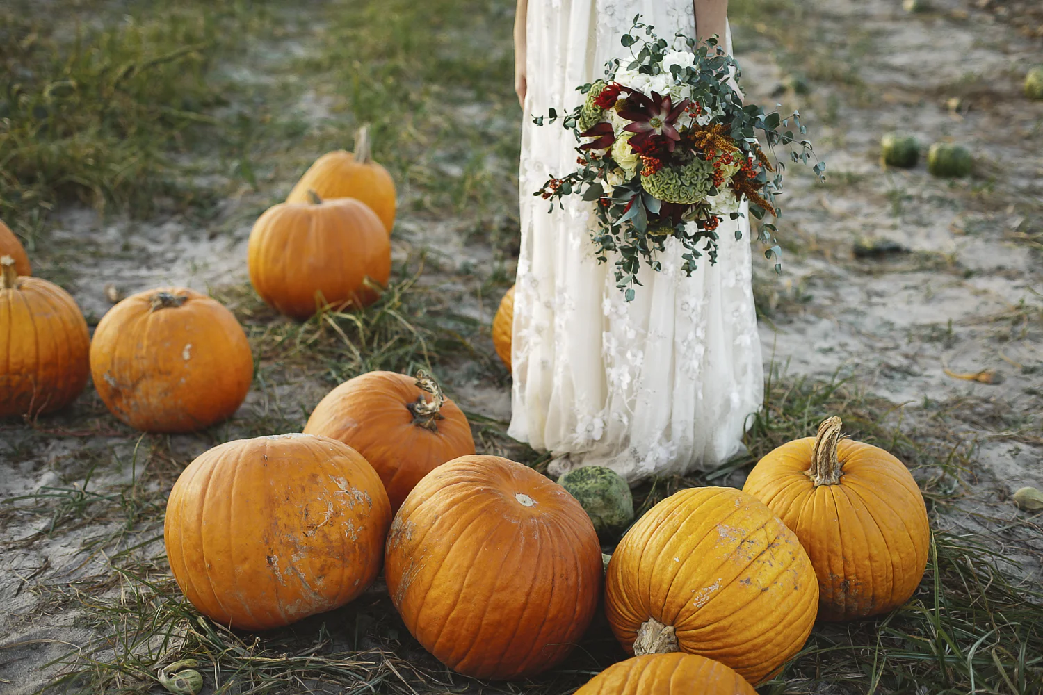 KDP_websitephotos-189.jpg