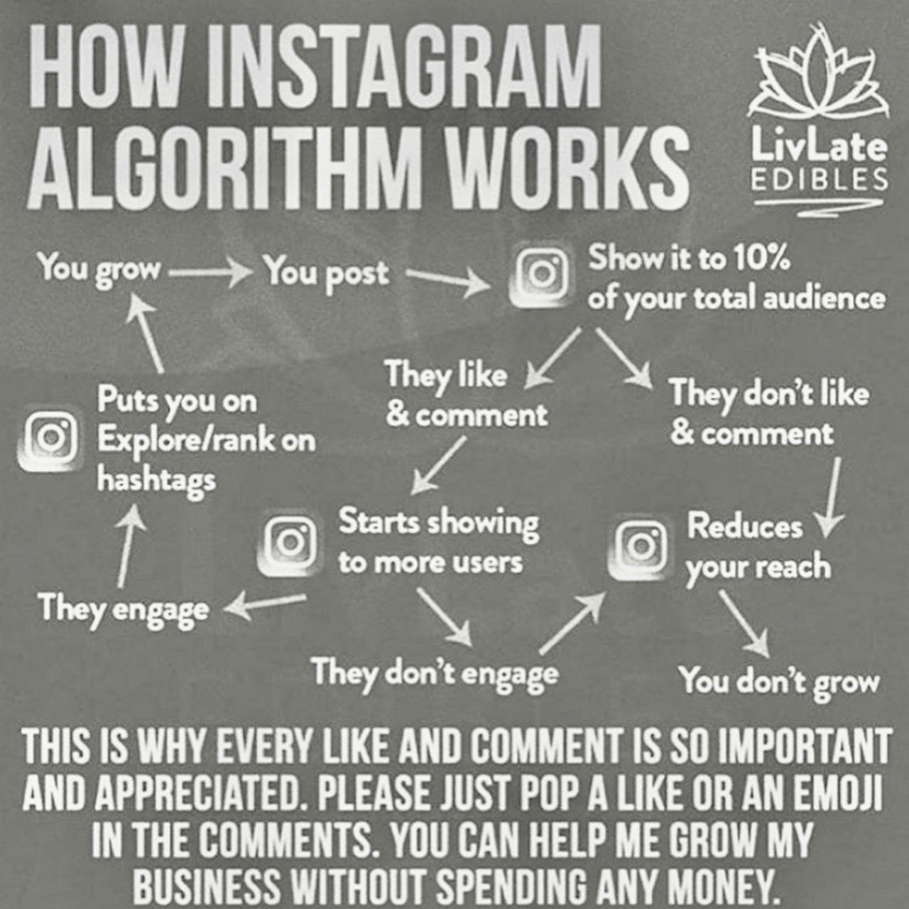 All facts.
⠀⠀⠀⠀⠀⠀⠀⠀⠀
⠀⠀⠀⠀⠀⠀⠀⠀⠀
#algorithm #thealgorithm #instagramalgorithm #igalgorithm #support #supportlocal #supportindie #indie #indieartist #indieartists #indierap #independent #independentartist #independentlabel #truth #truthbetold #Truthbomb