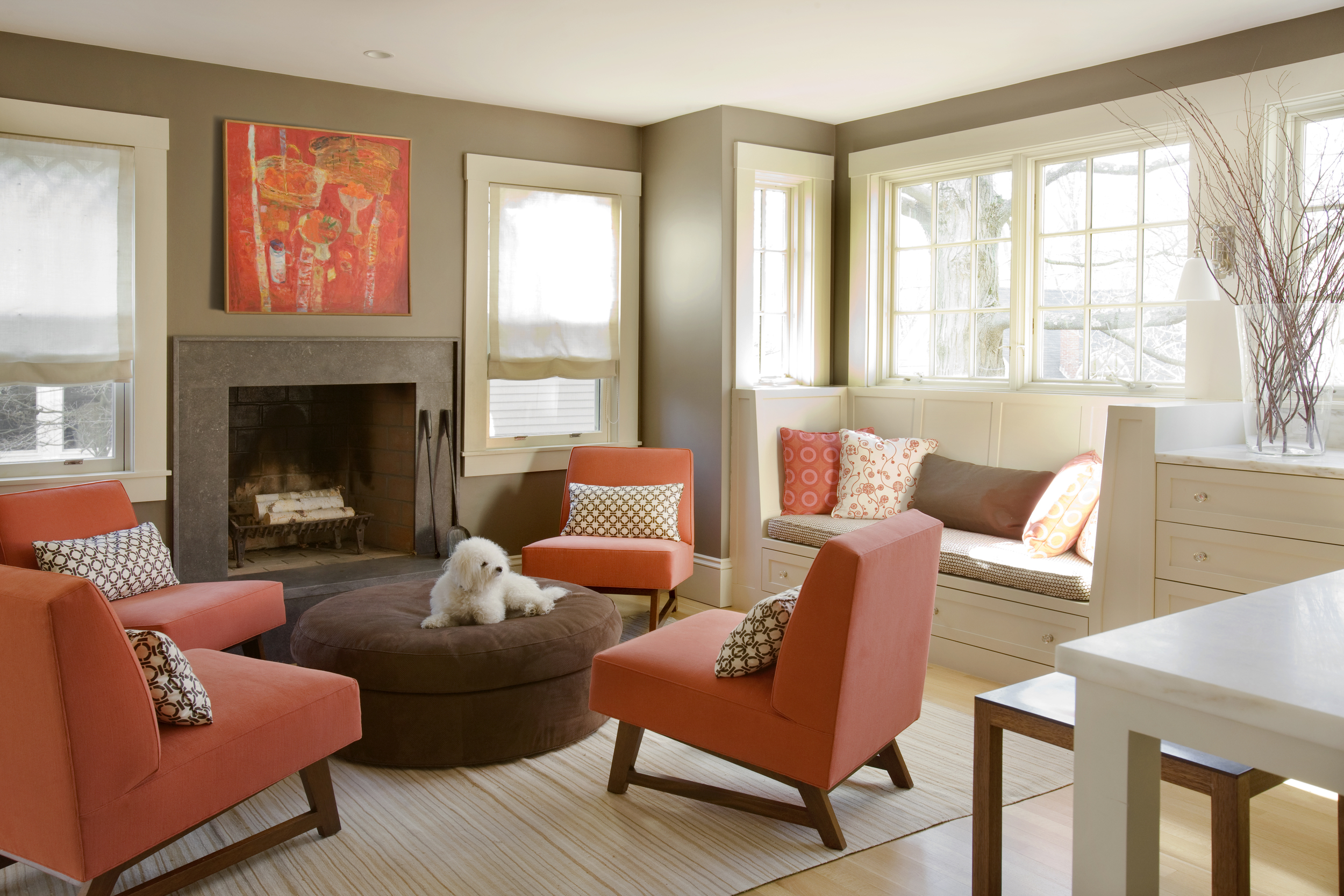 DNE Christine Lane Livingroom with Dog 2.jpg