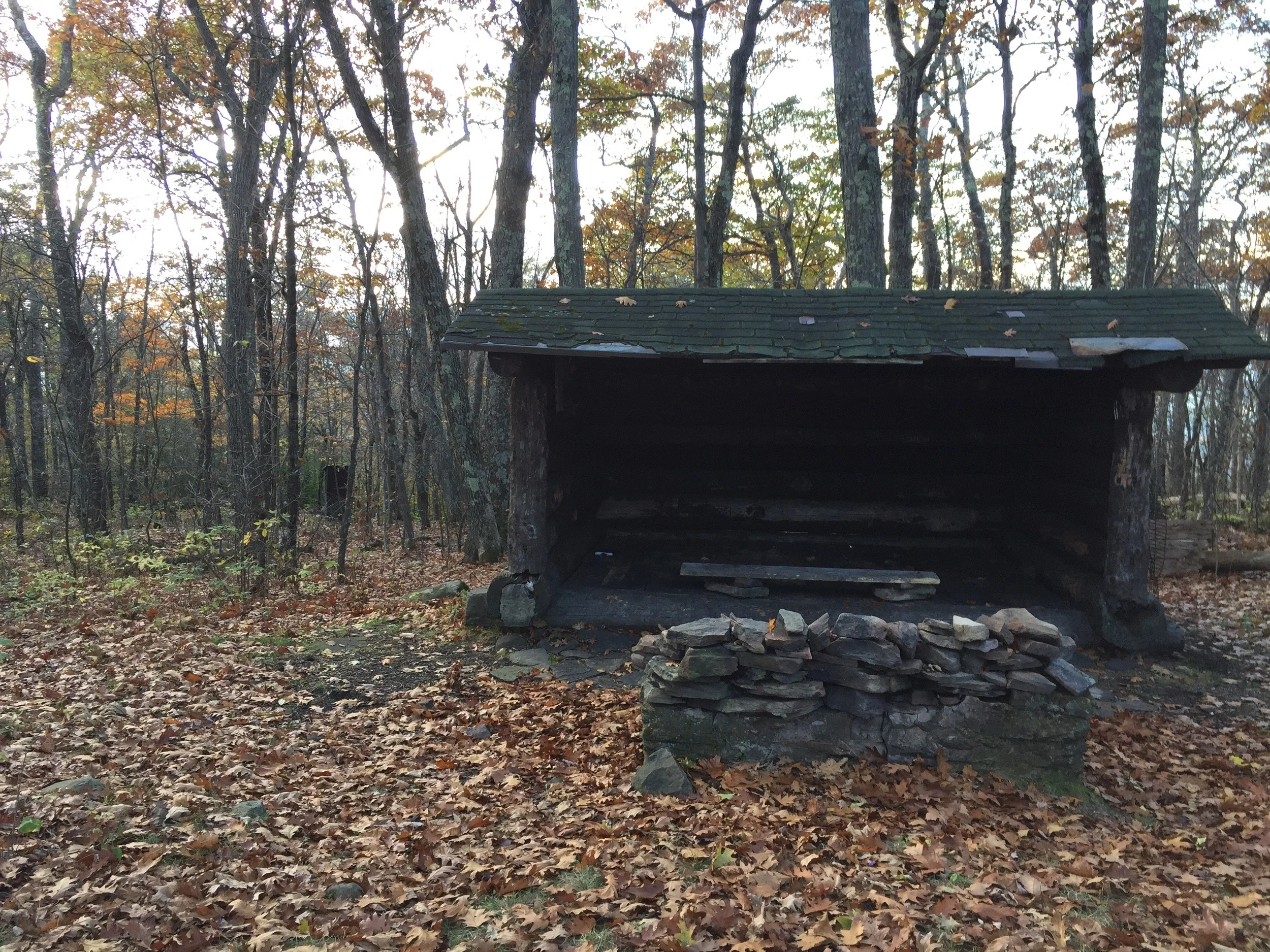 Mt Tremper Lean-To