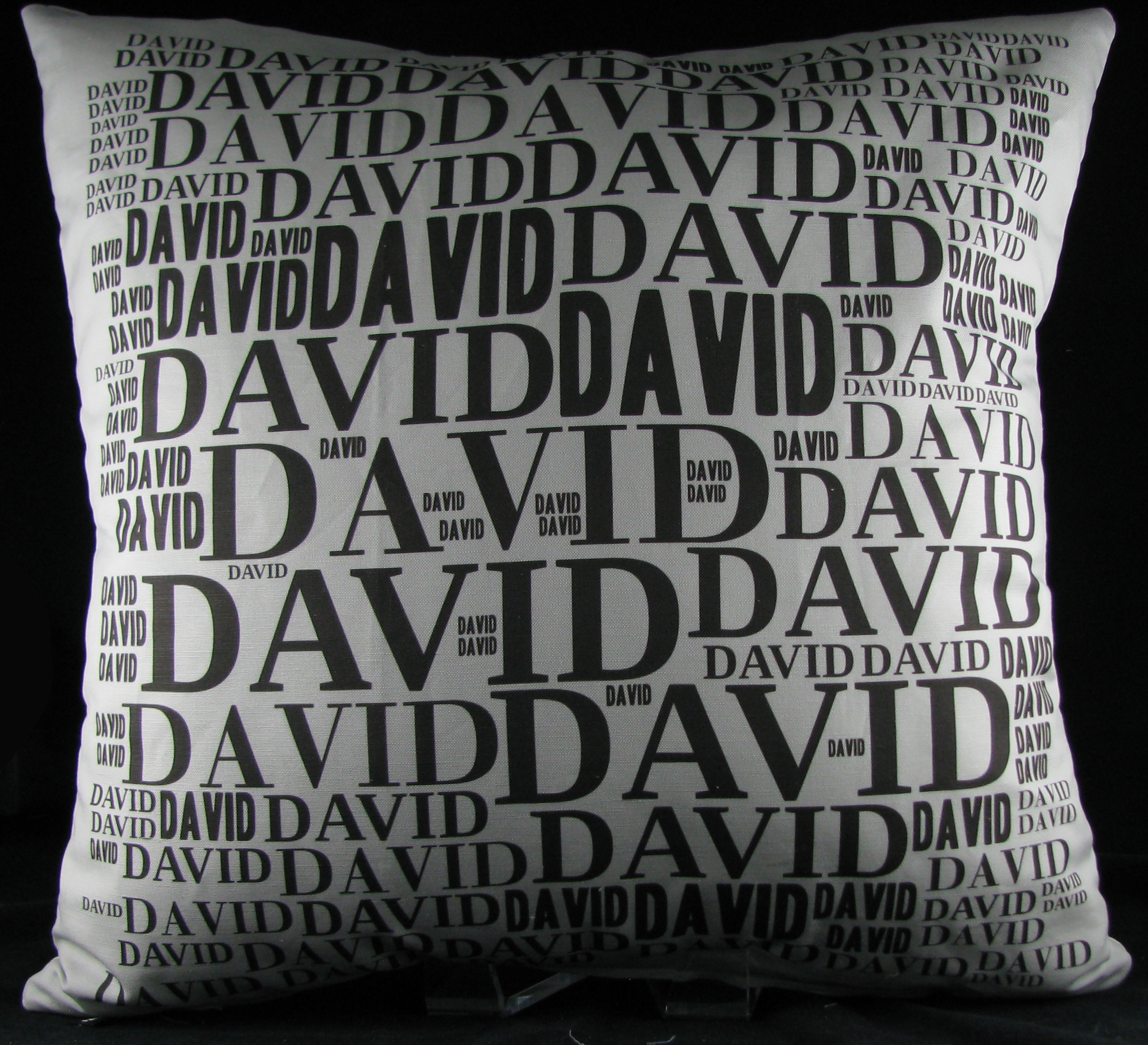 IMG_5889david.jpg