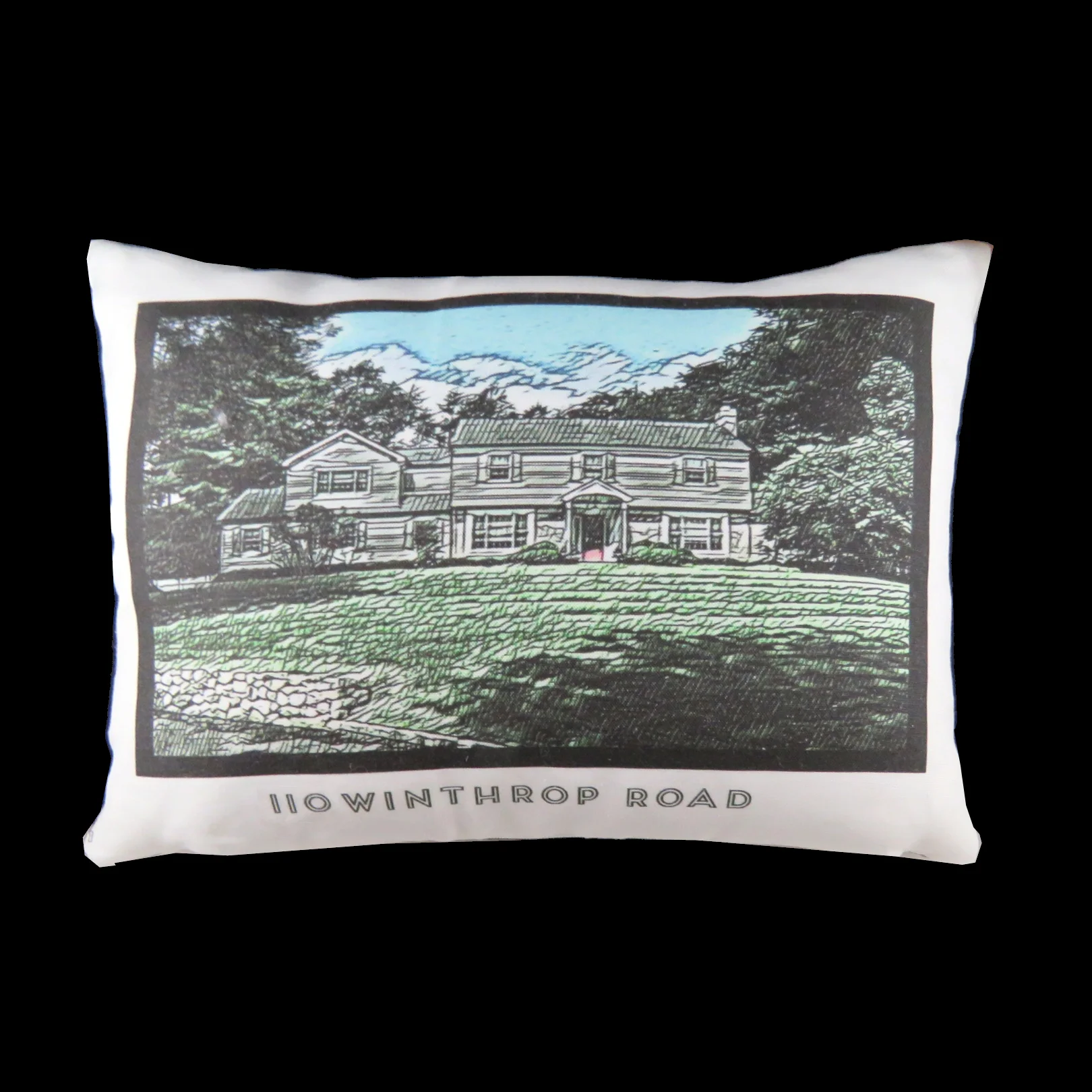PEN AND INK PILLOW - THICK STYLE