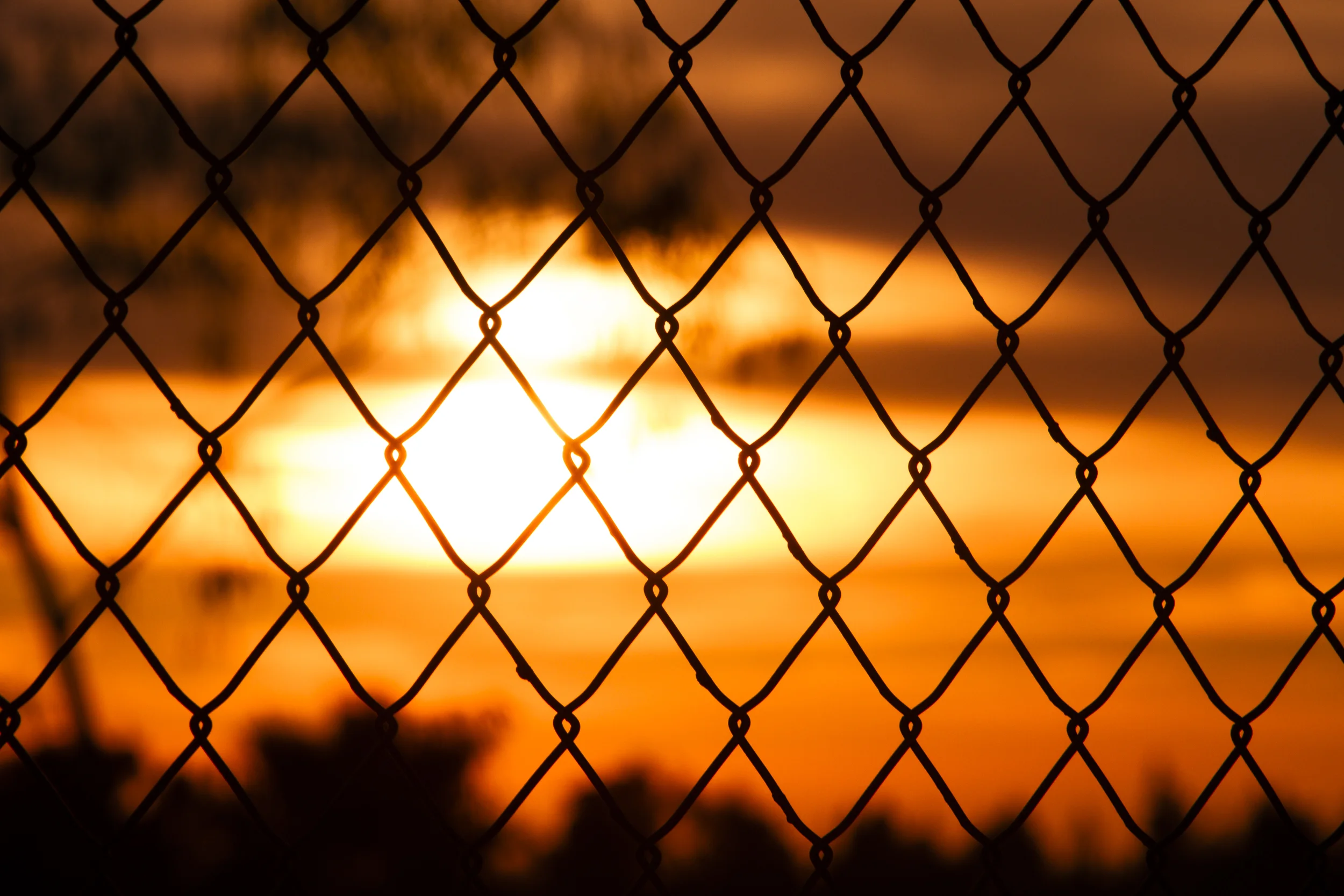Sun-Set-January 20, 2016-20.JPG