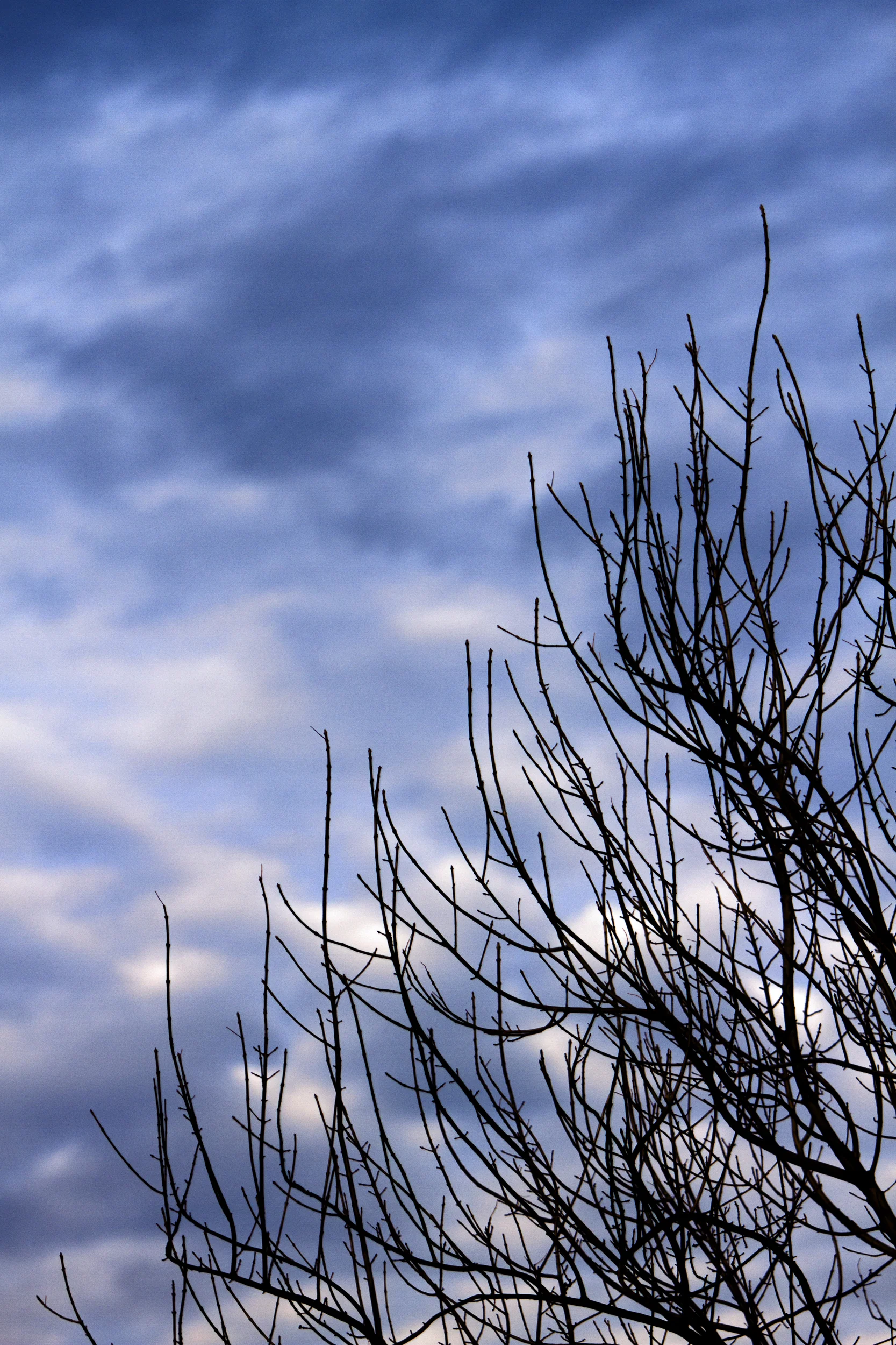 2016 First Image.JPG