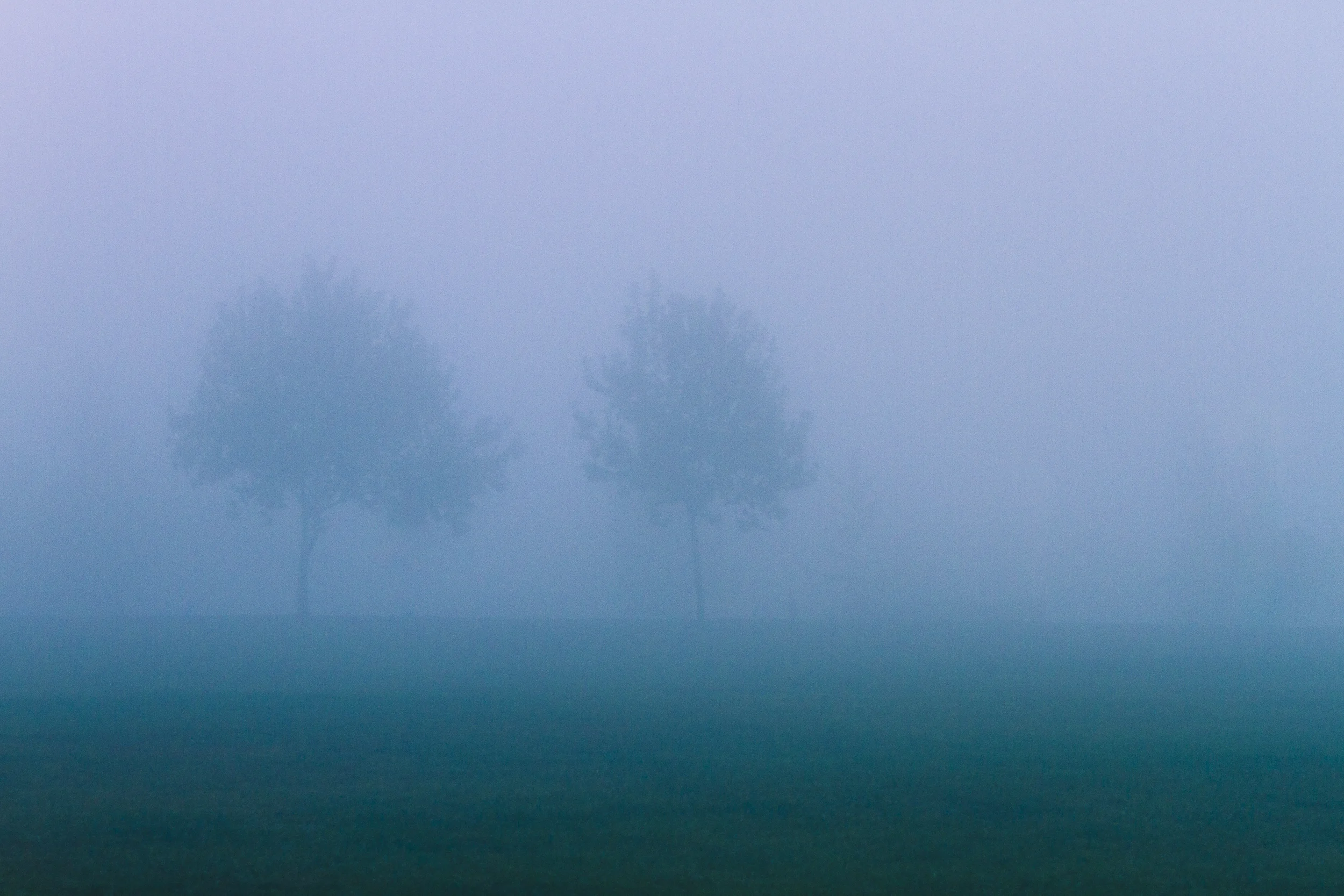 Fog-October 23, 2015-42.JPG