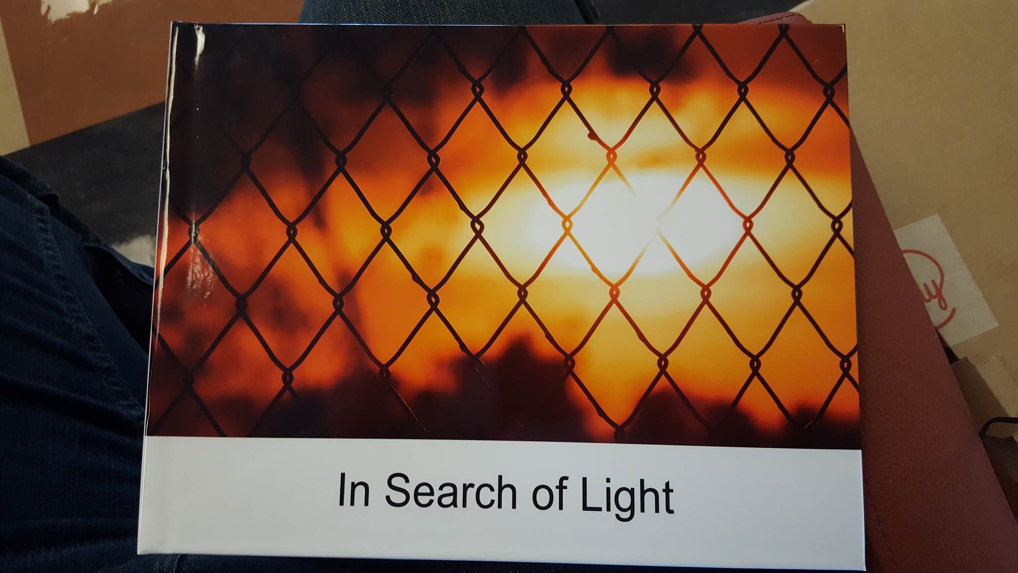 The Cover of In Search of Light