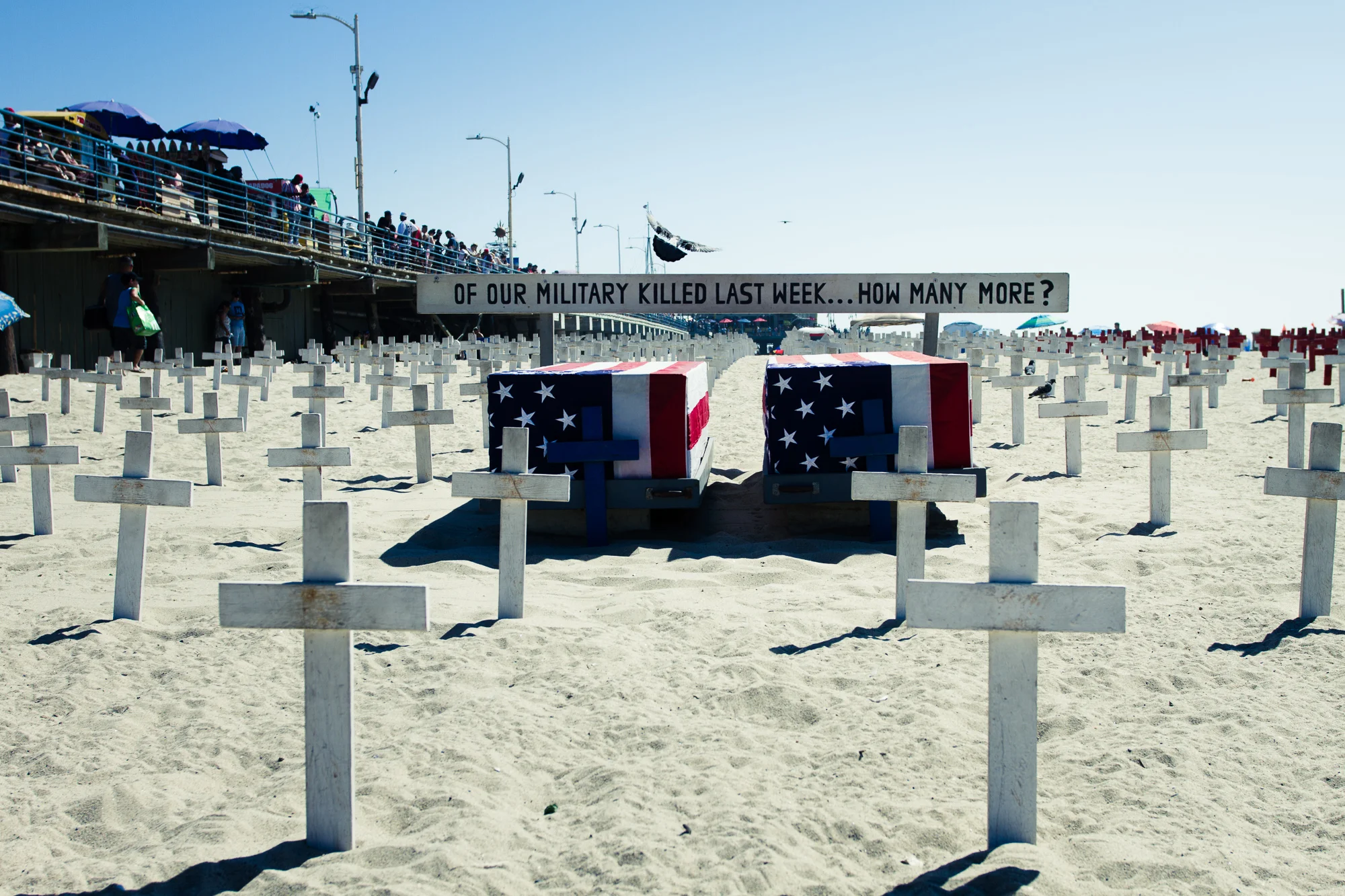 _MG_2481.JPG