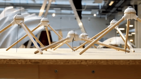 tripod+gifs.gif