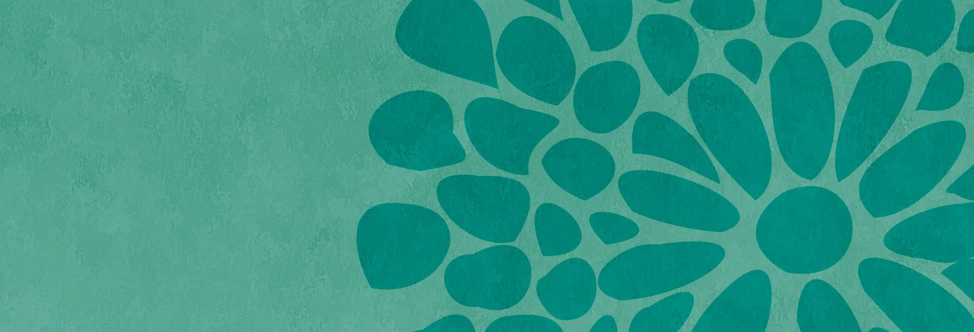 teal banner.jpeg