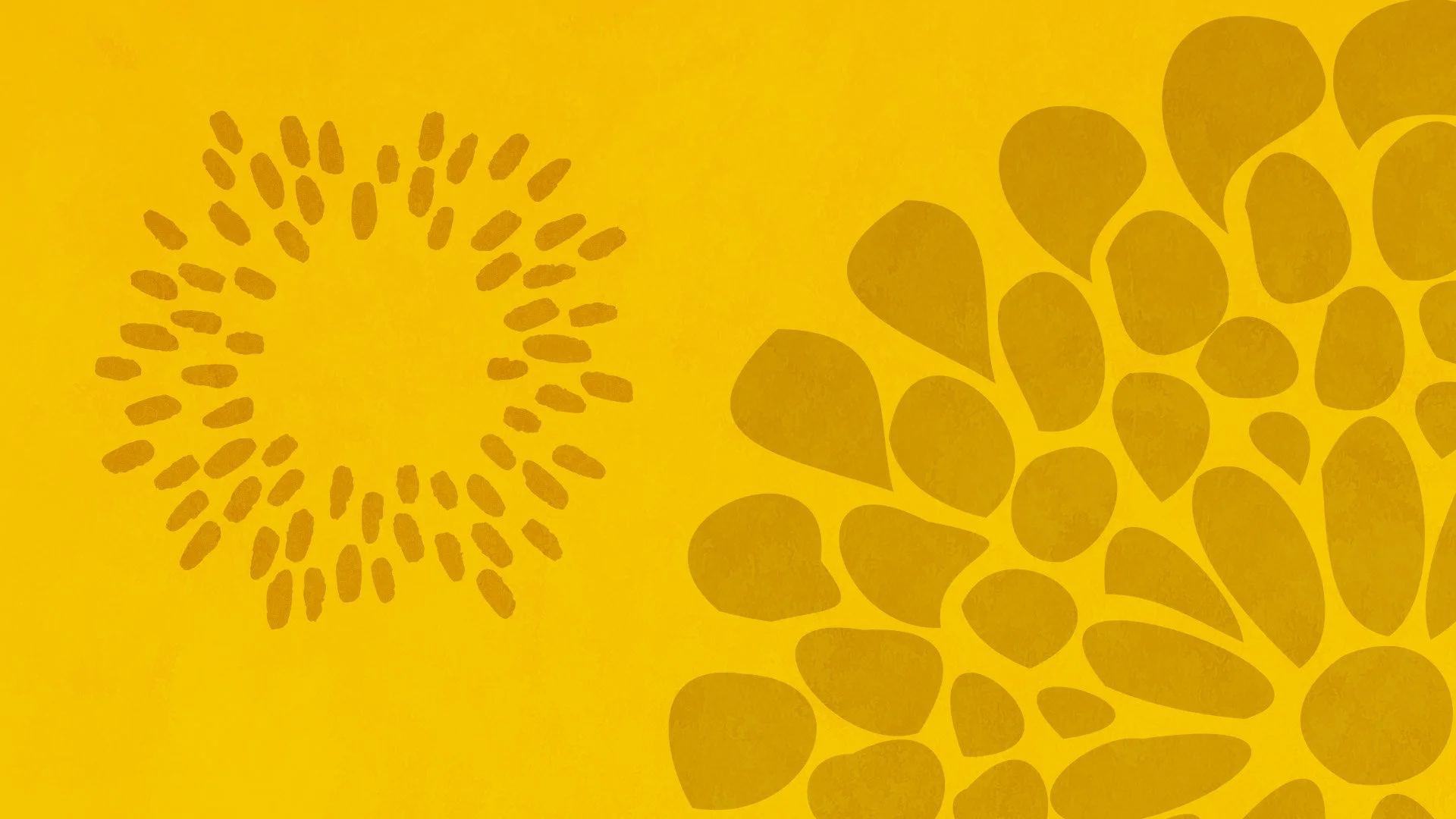 yellow banner.jpeg