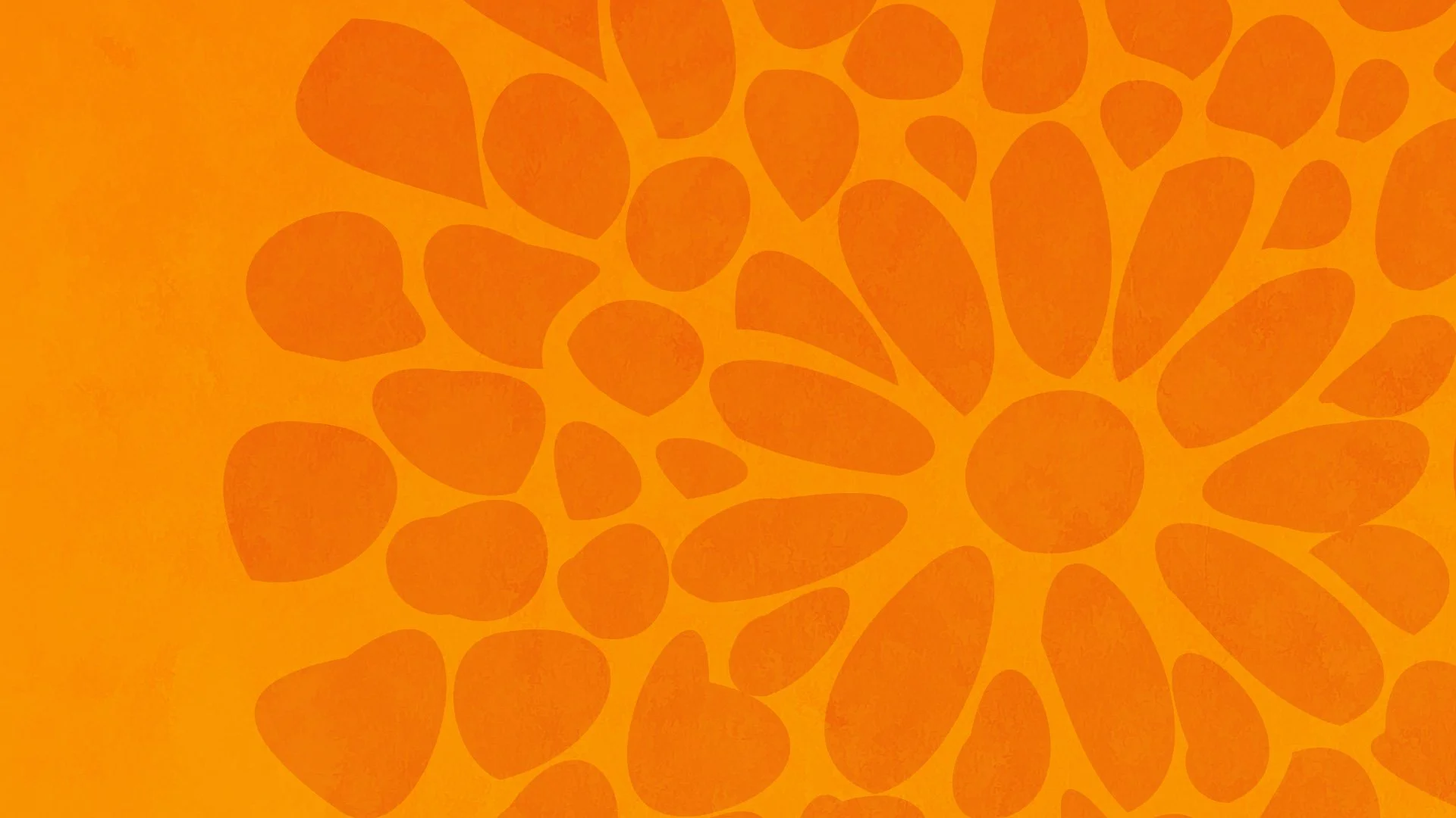 orange banner.jpeg