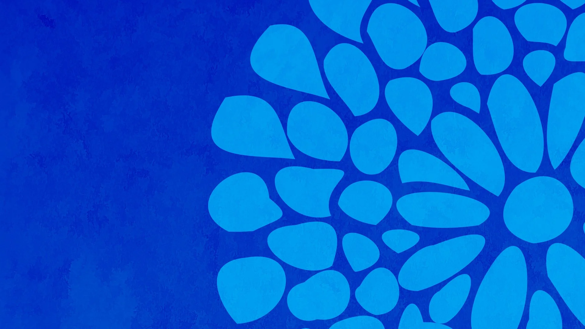 blue banner.jpeg